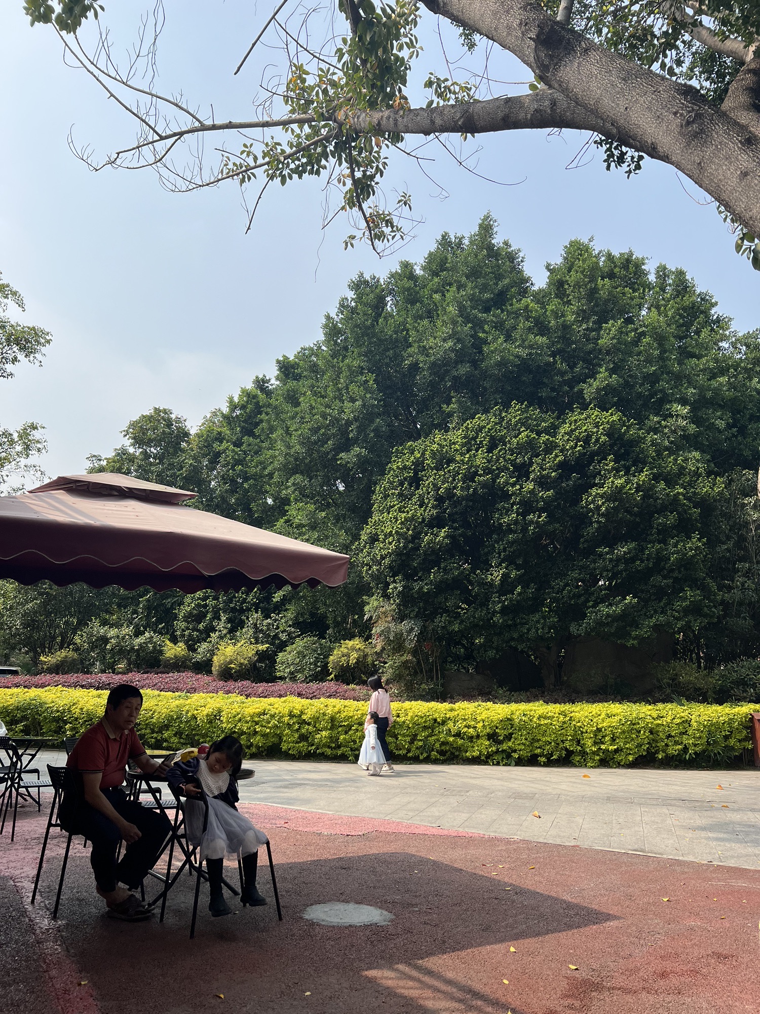 东湖公园旅行图片 1