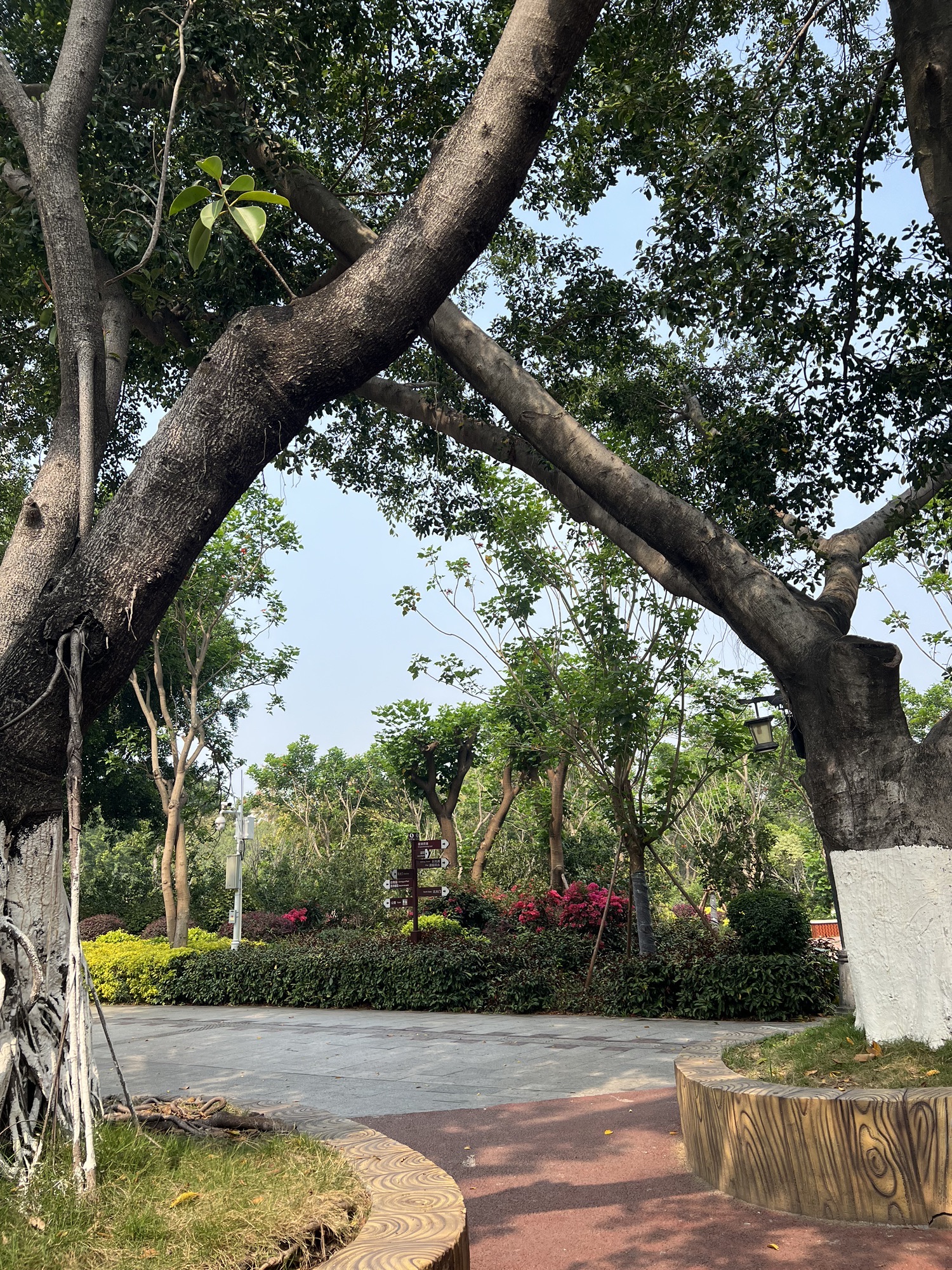 东湖公园旅行图片 2