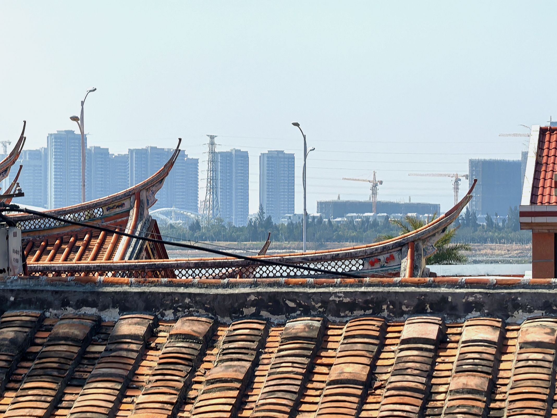 东湖公园旅行图片 3