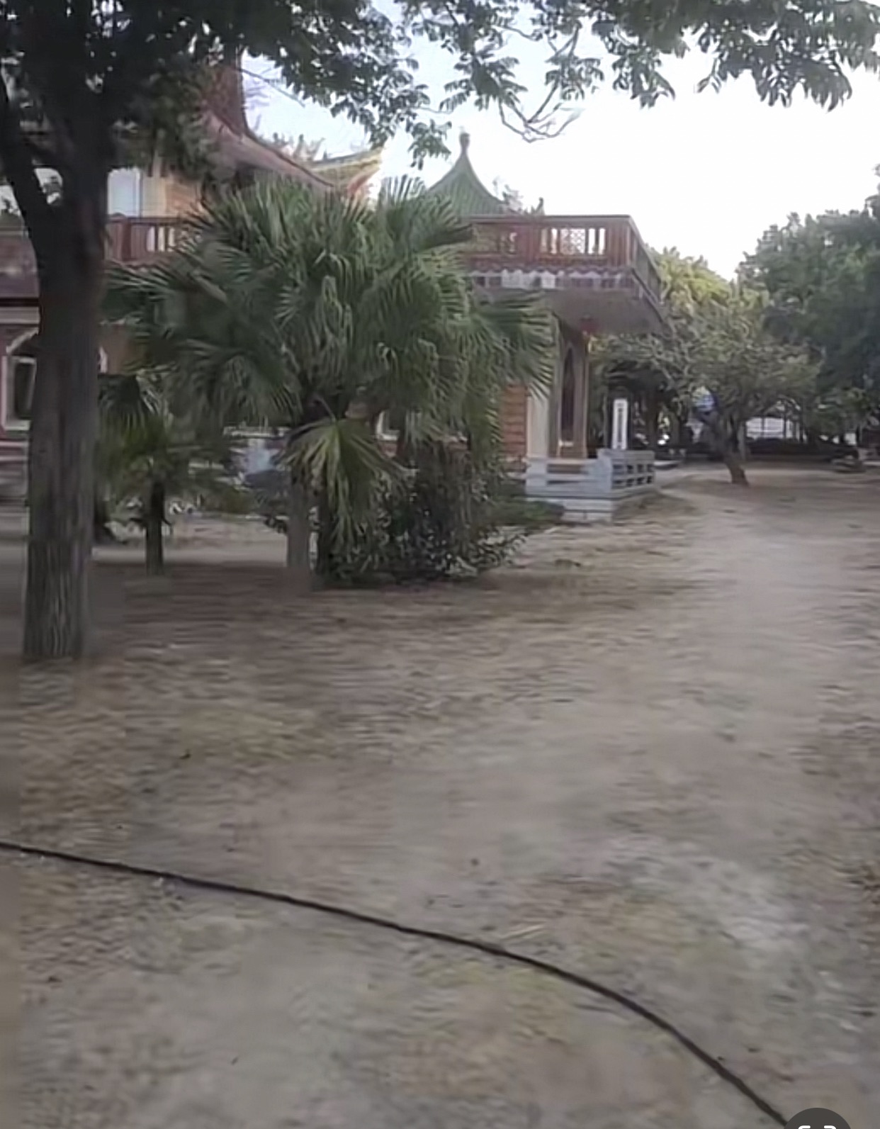 蚶江文化公园旅行图片 2