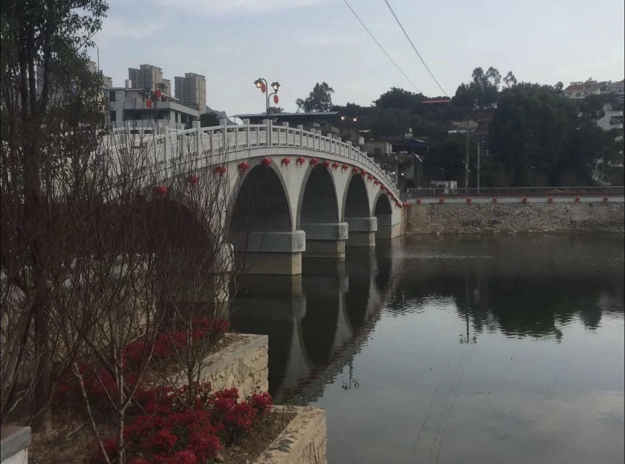 柳湖公园旅行图片 2