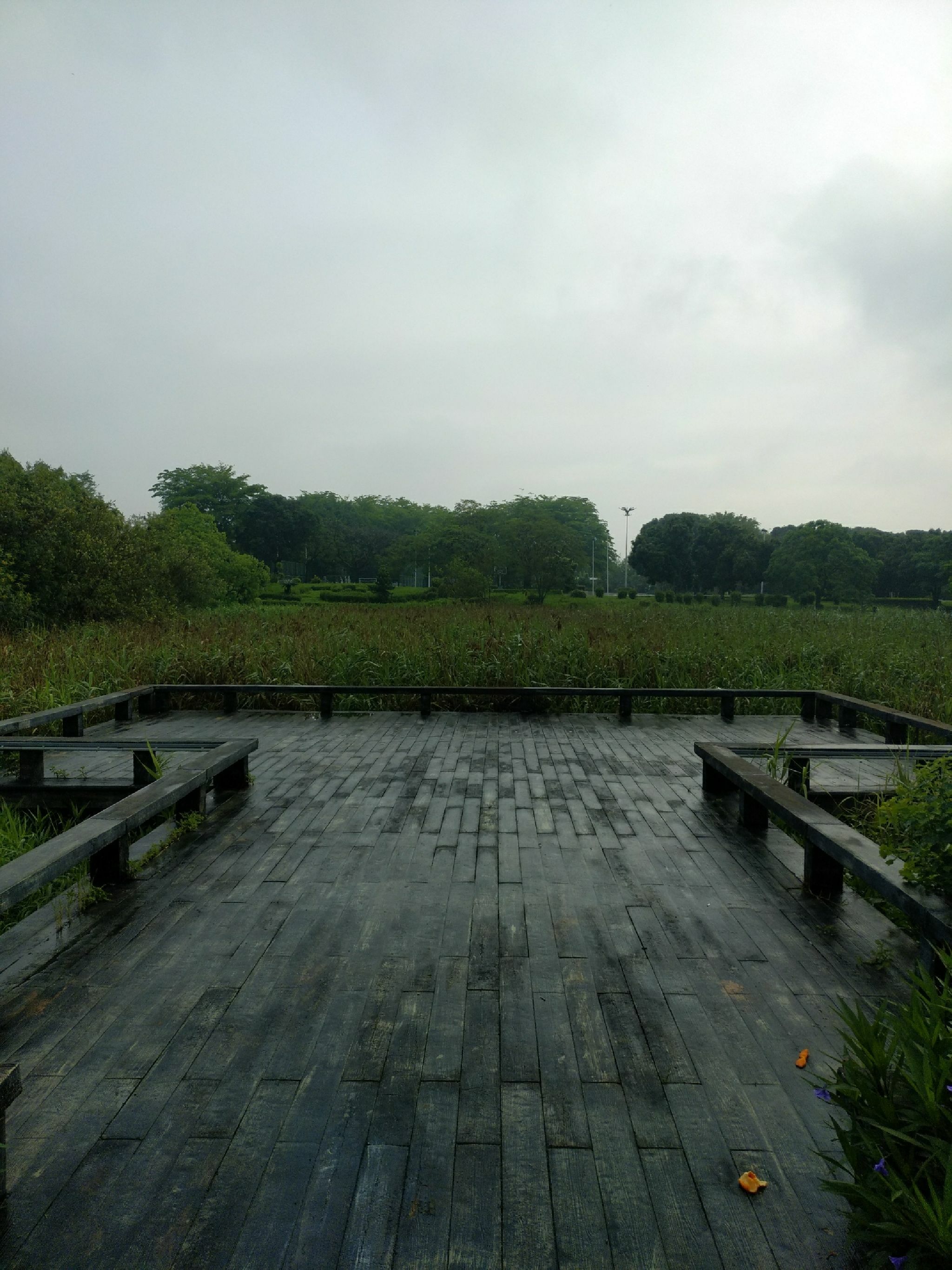 晋江南岸生态公园旅行图片 3