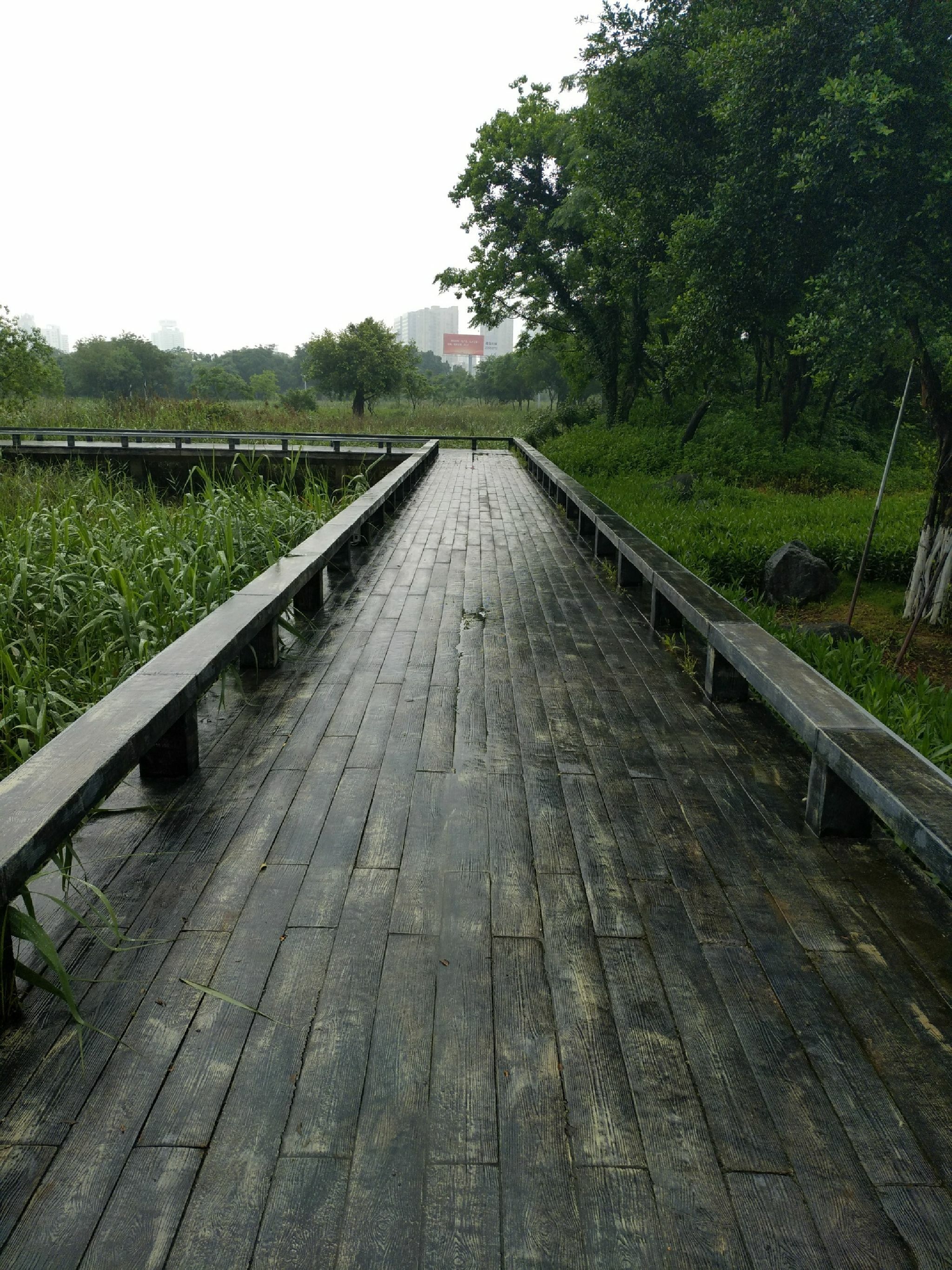 晋江南岸生态公园旅行图片 1
