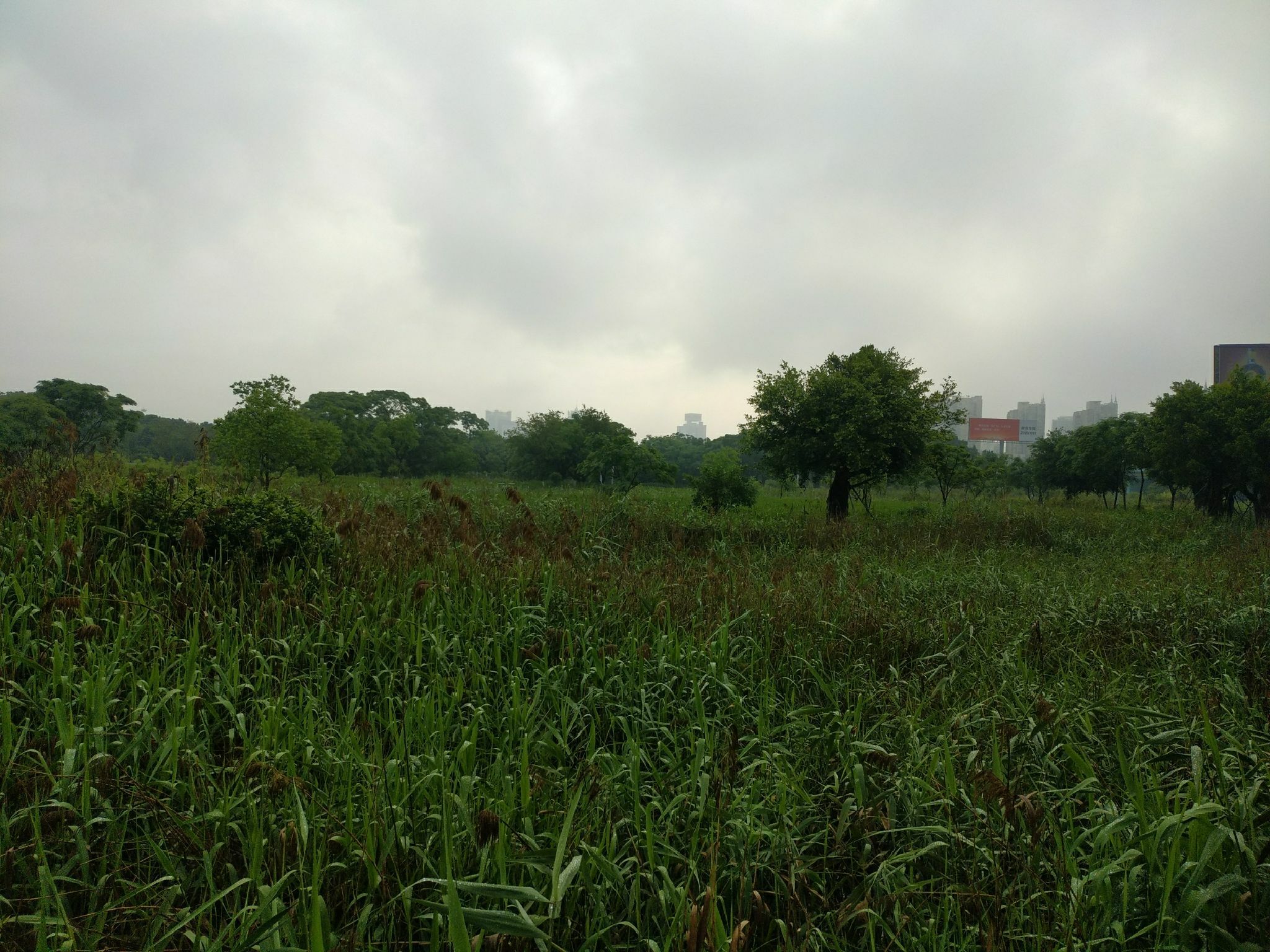 晋江南岸生态公园旅行图片 2