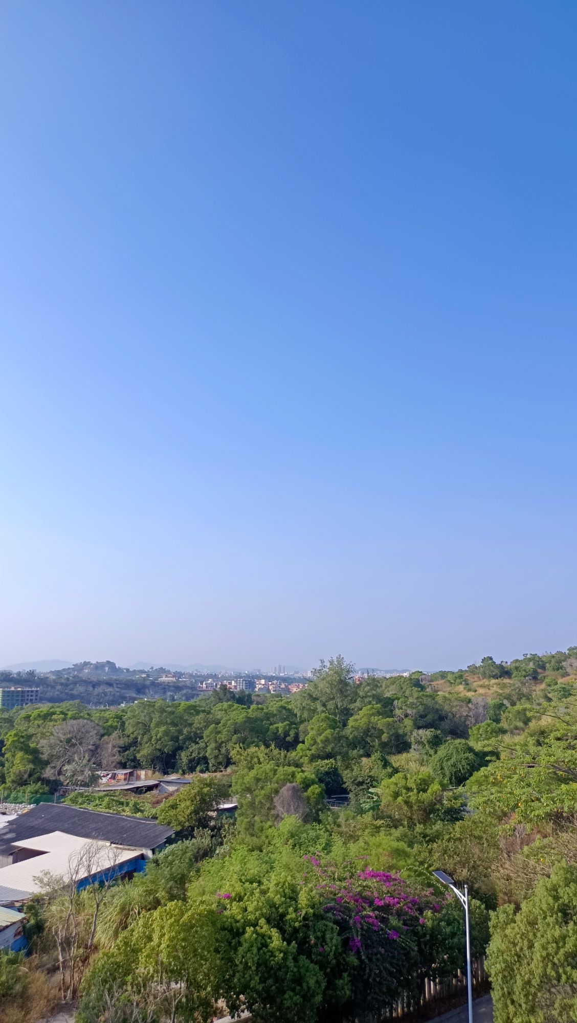 长存公园旅行图片 2