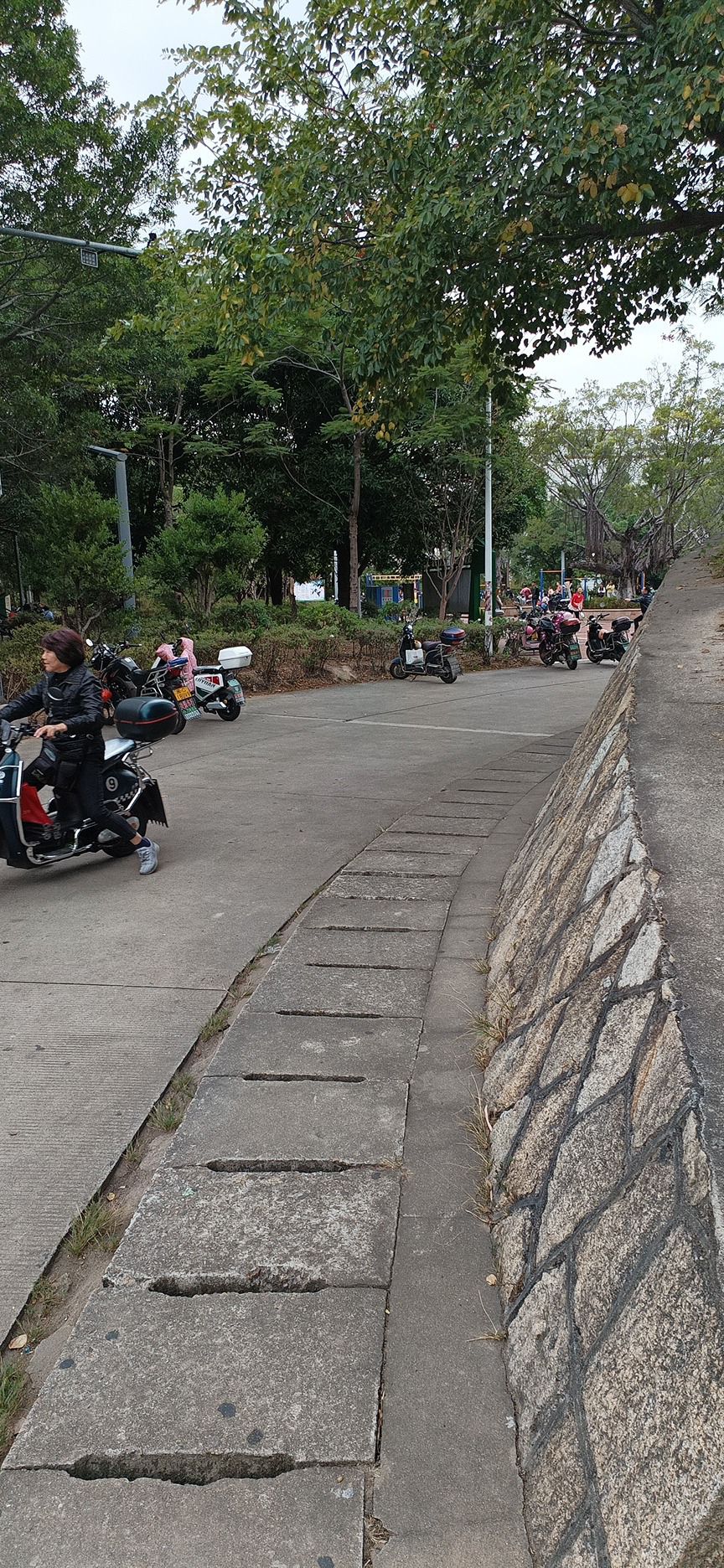 仙公山公园旅行图片 2