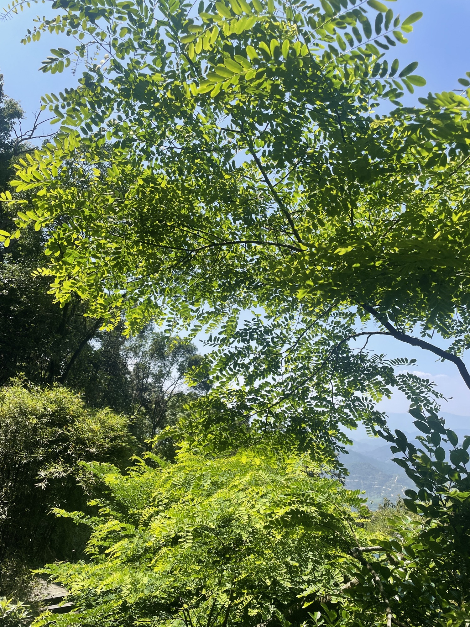 清水岩旅行图片 3
