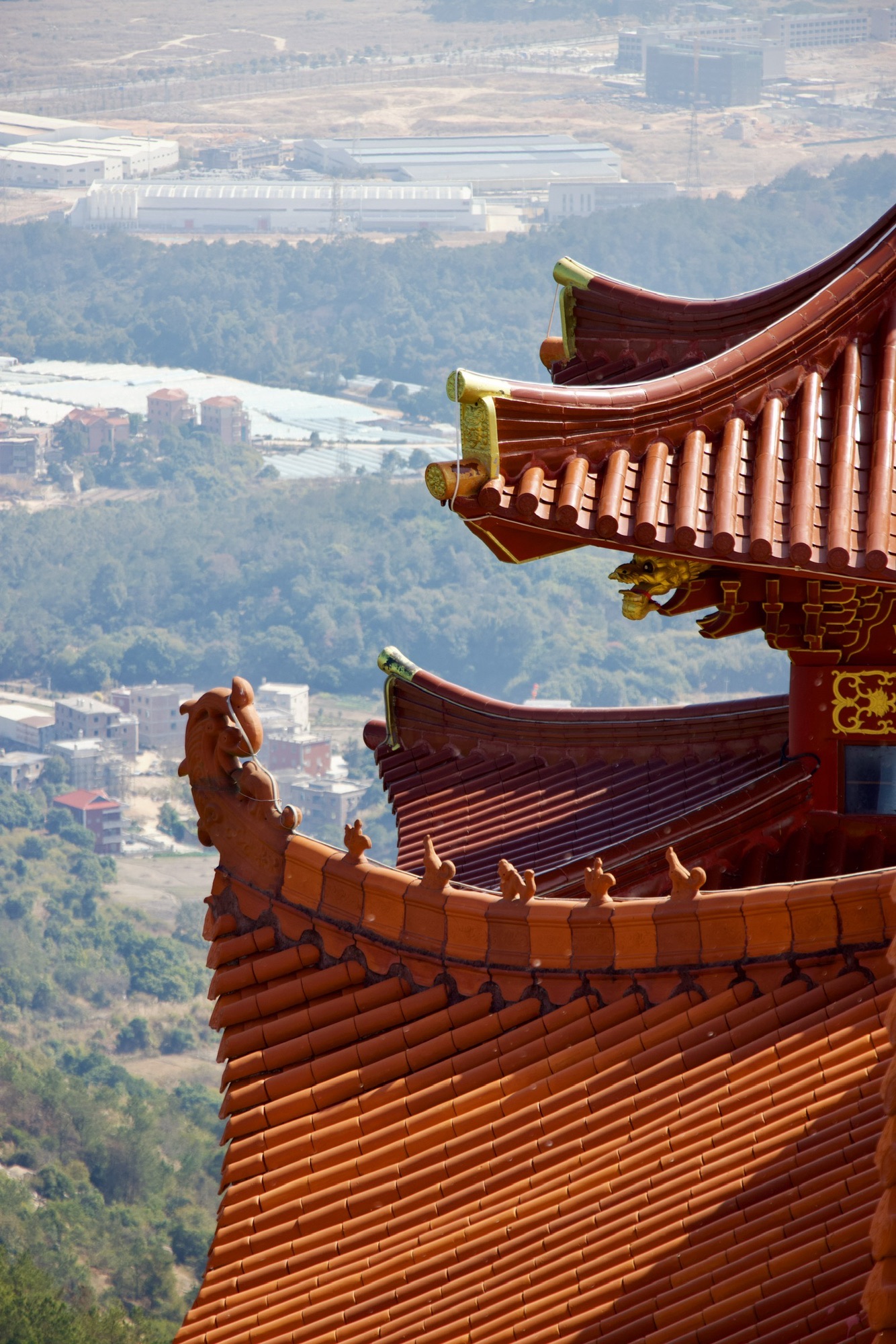 连理寨旅行图片 1