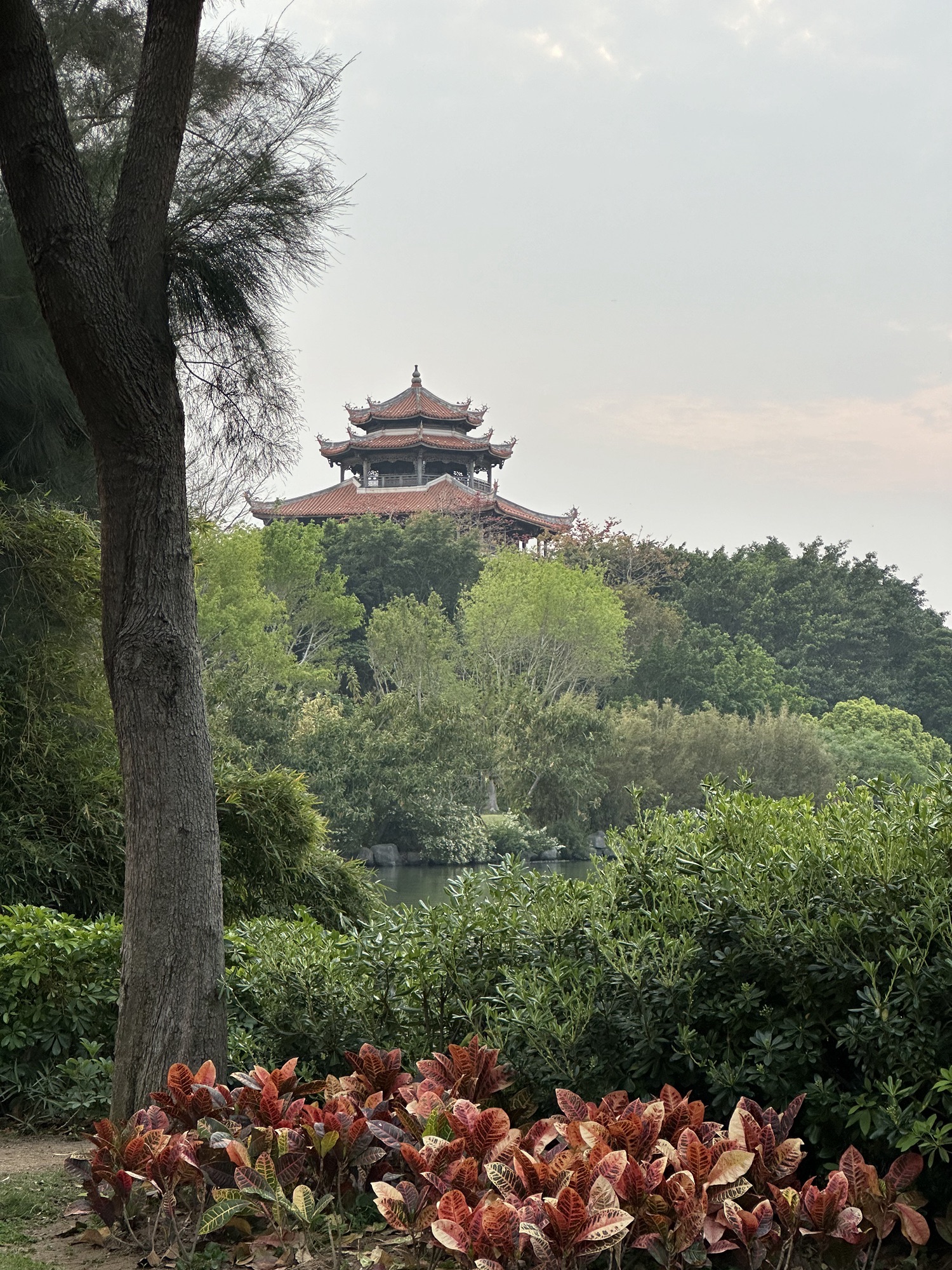 西湖公园旅行图片 3