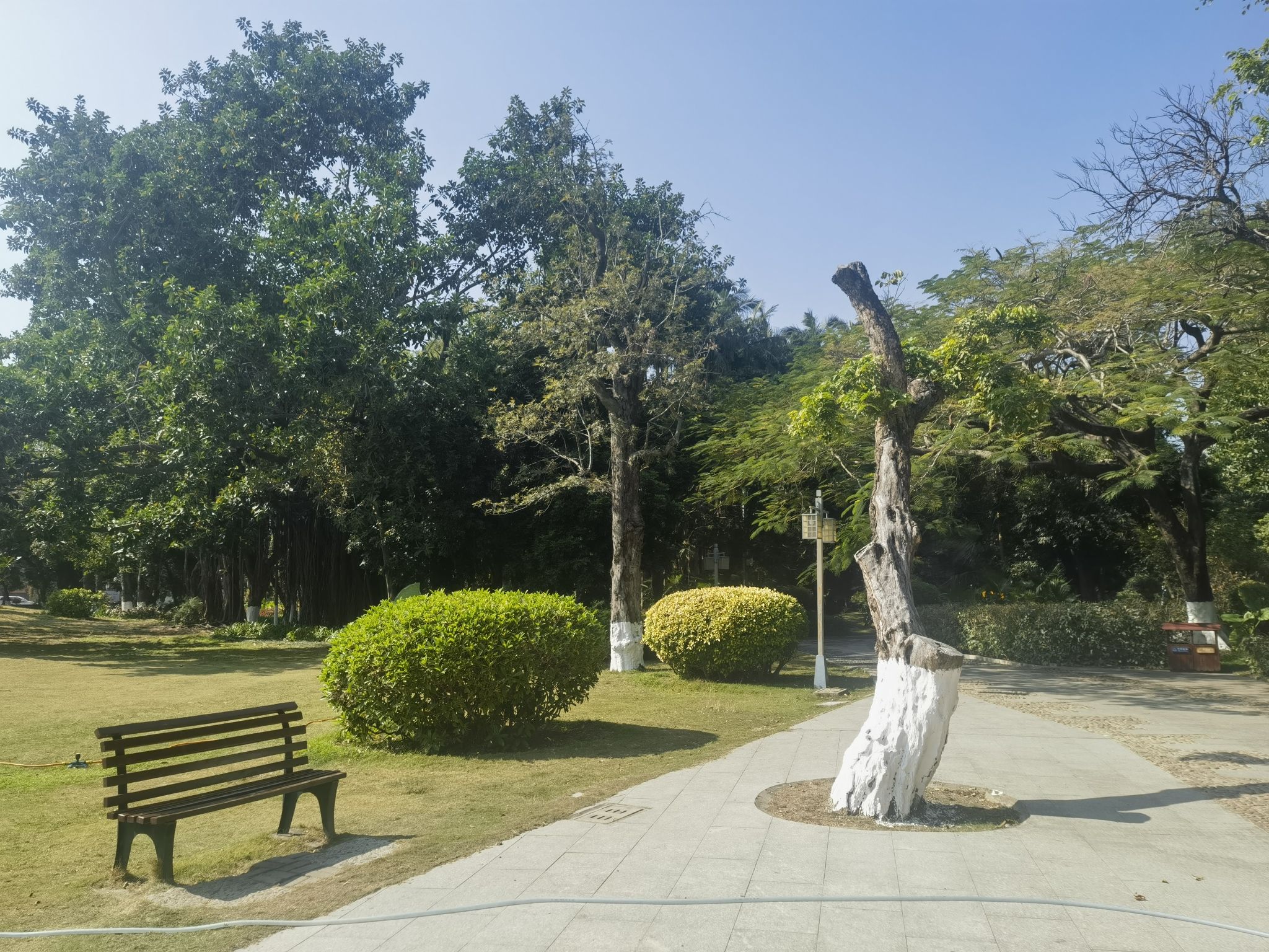 芳草园旅行图片 2