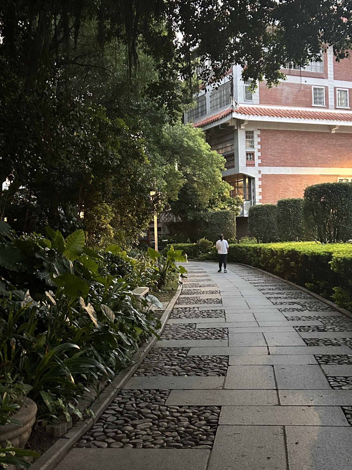 芳草园旅行图片 2