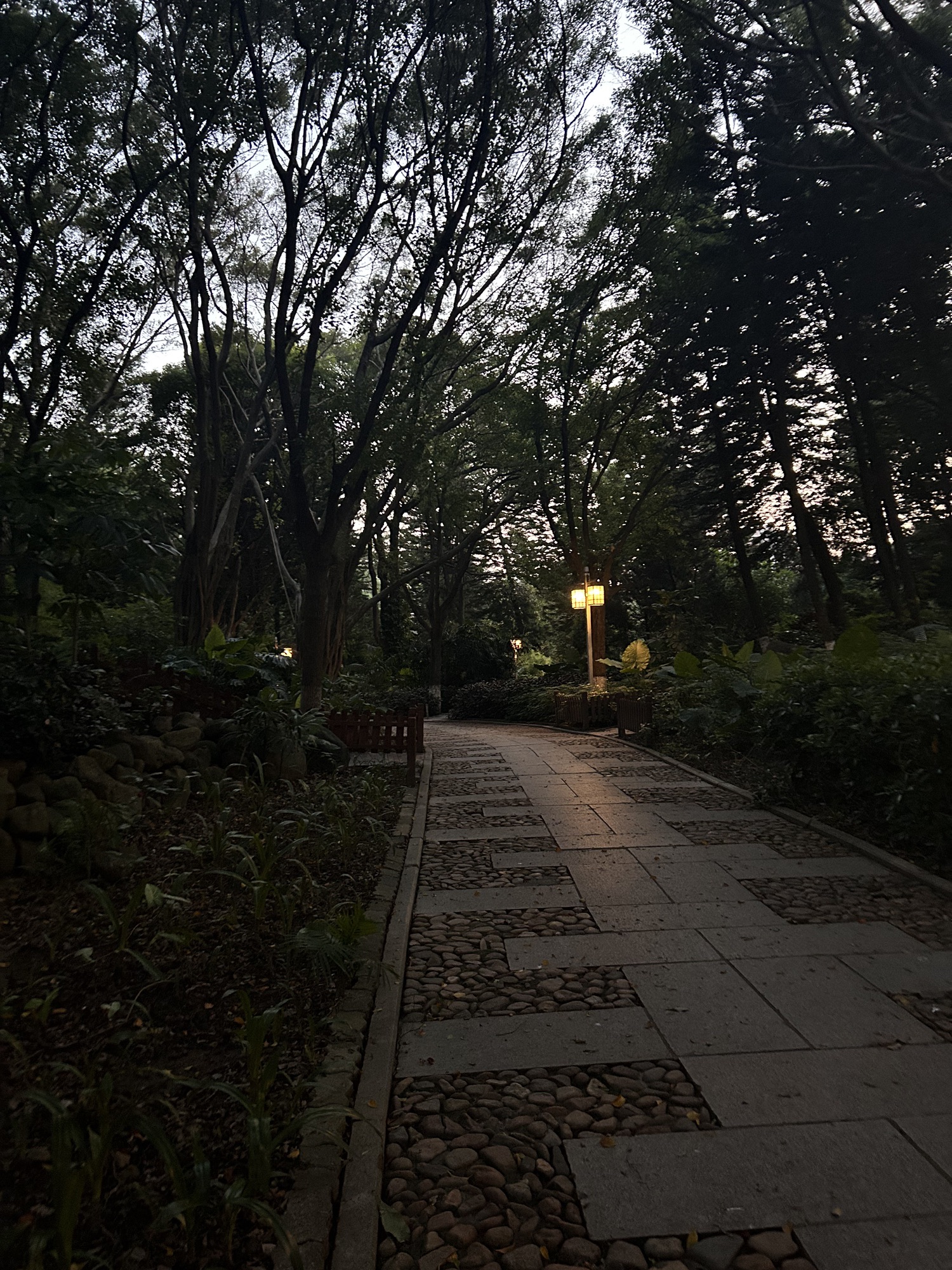 芳草园旅行图片 3