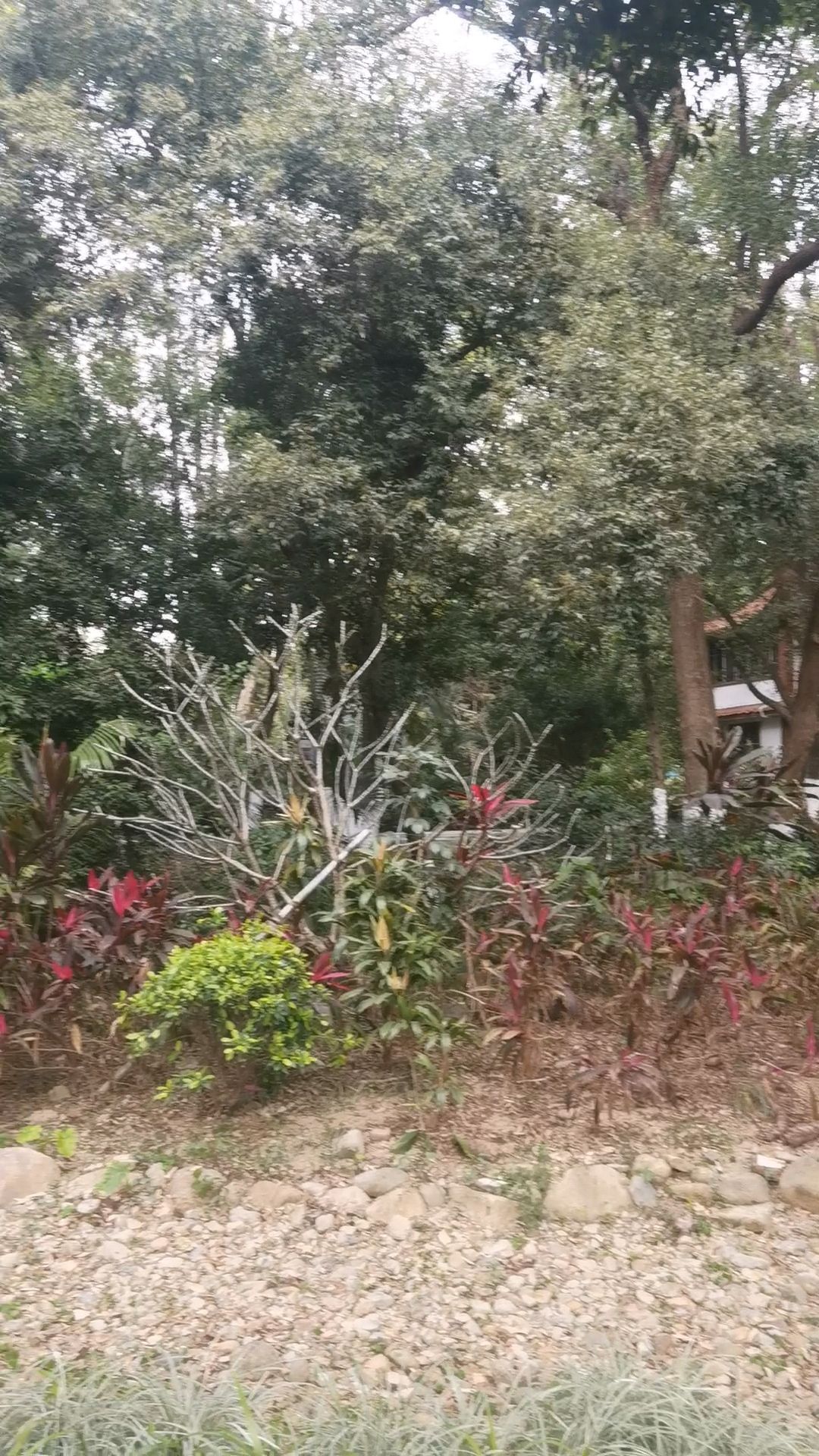 芳草园旅行图片 1