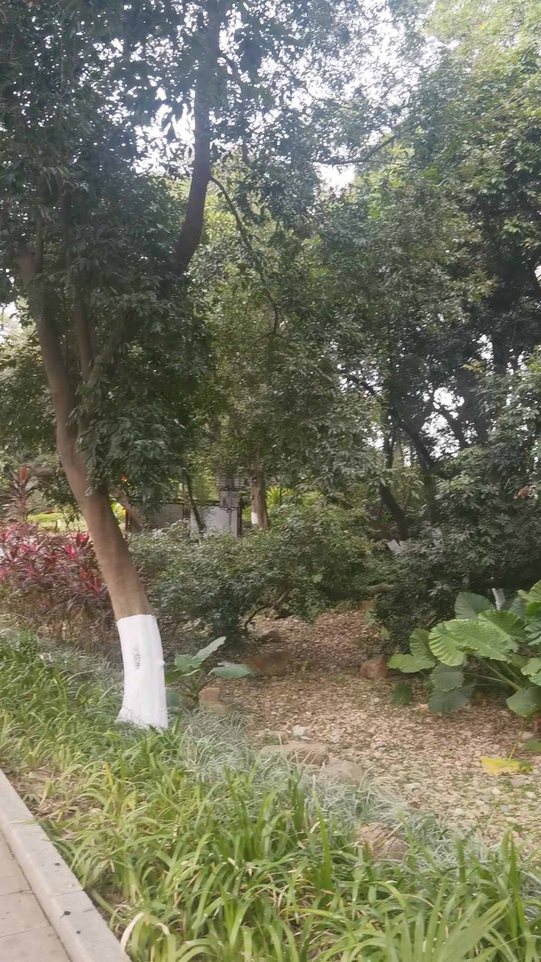 芳草园旅行图片 2