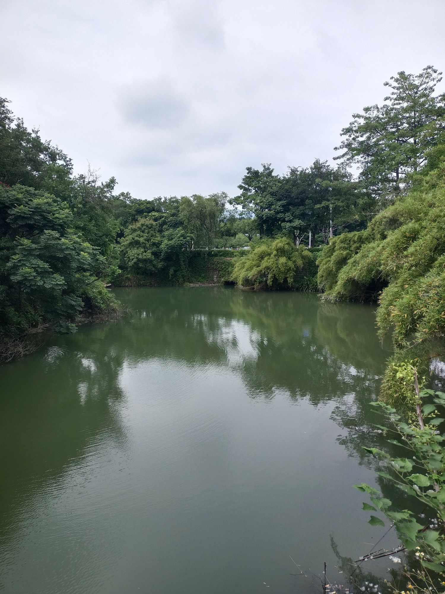 临漳门旅行图片 3