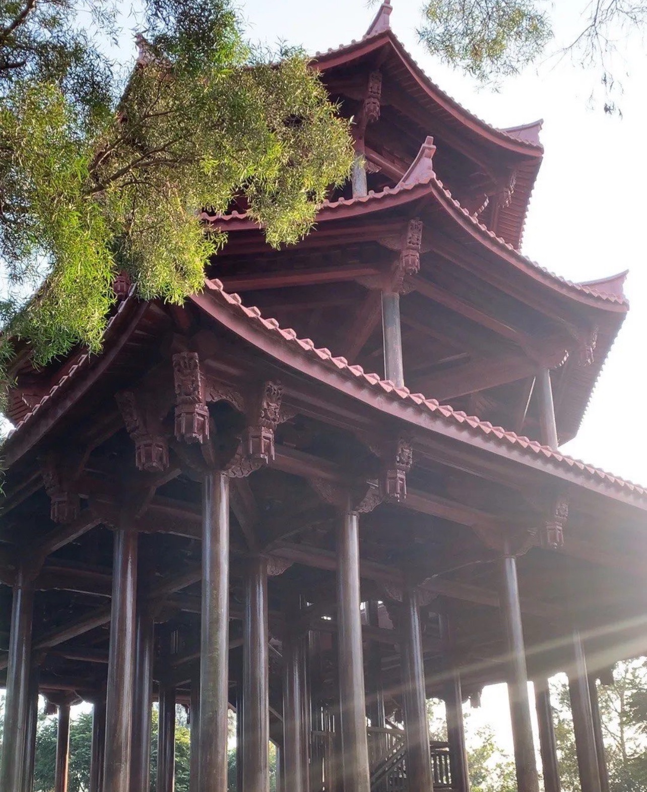泉州森林公园旅行图片 3
