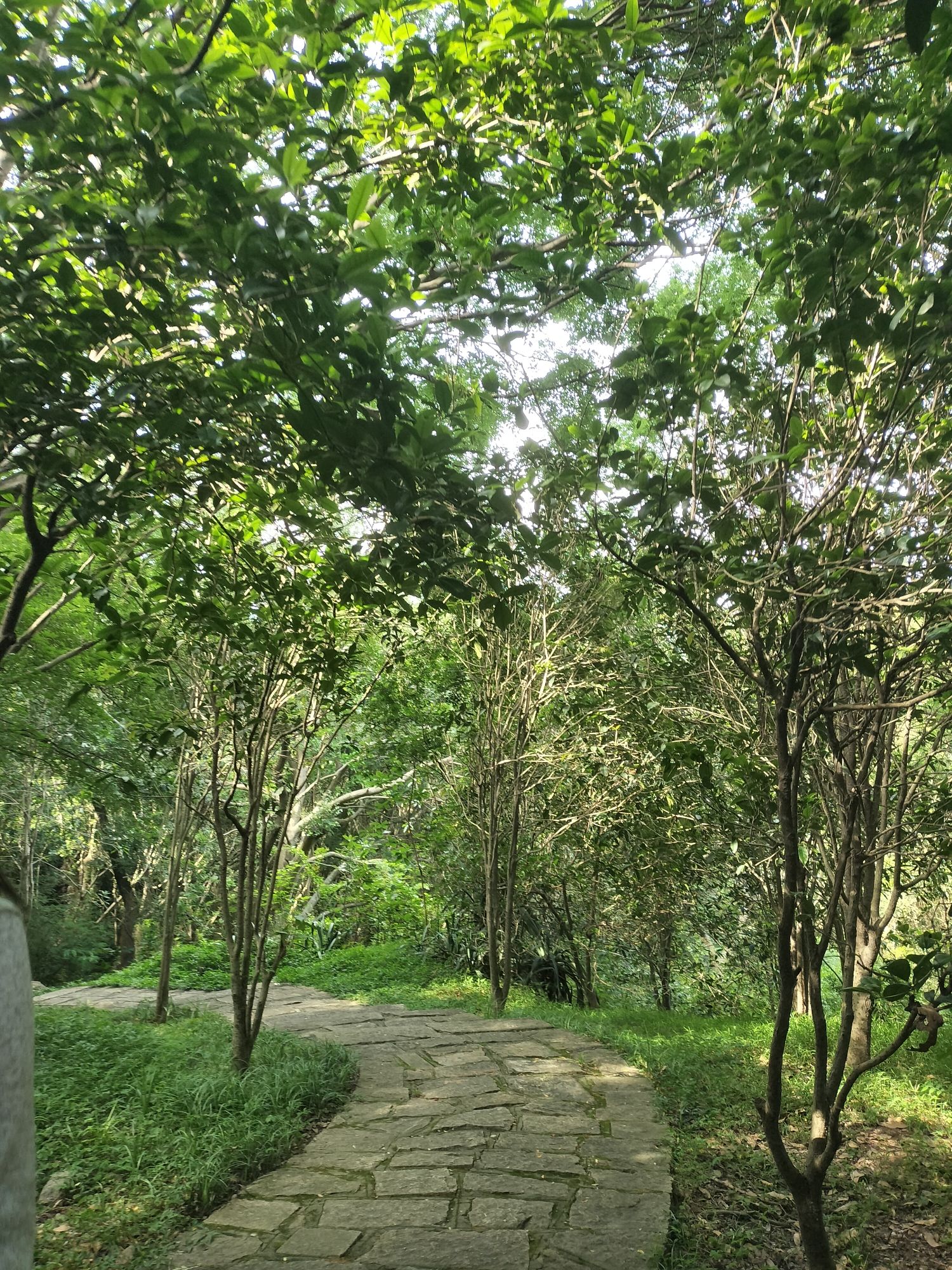 泉州森林公园旅行图片 3