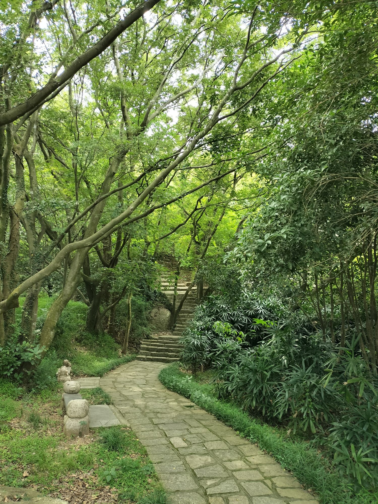 泉州森林公园旅行图片 1