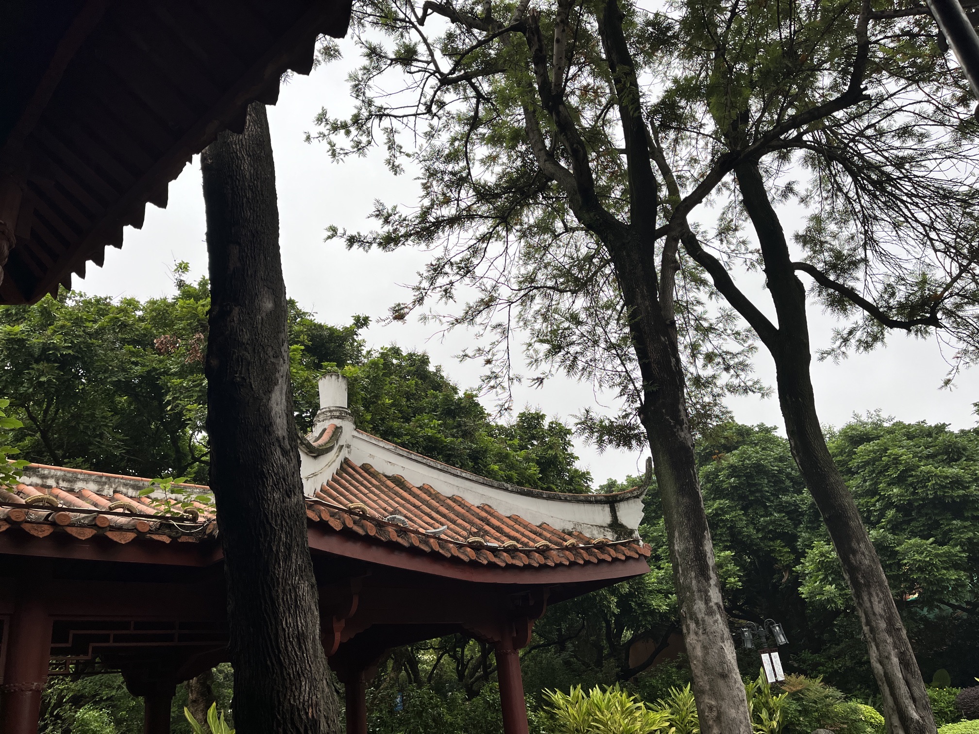 释雅山公园旅行图片 3