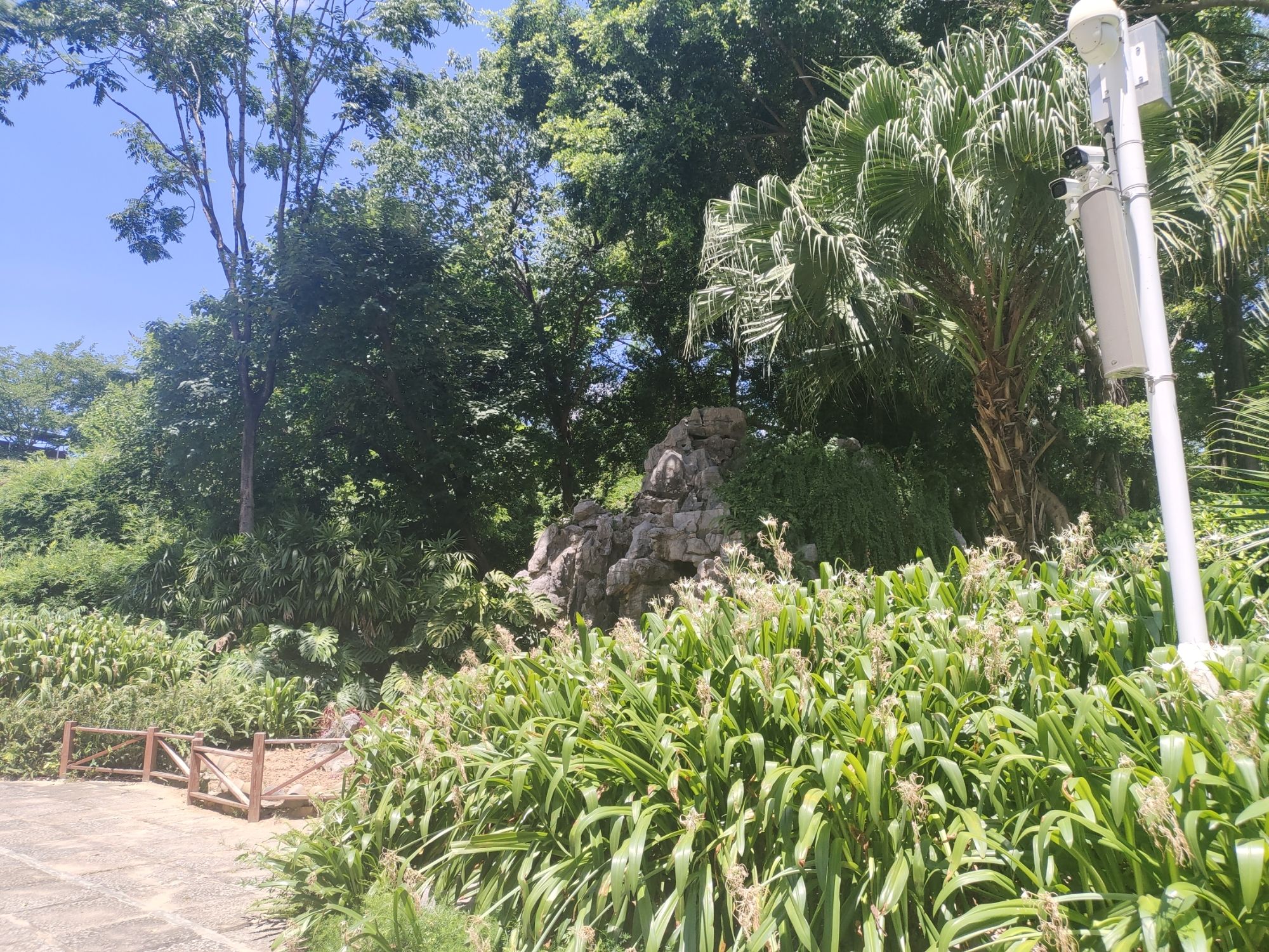 释雅山公园旅行图片 3