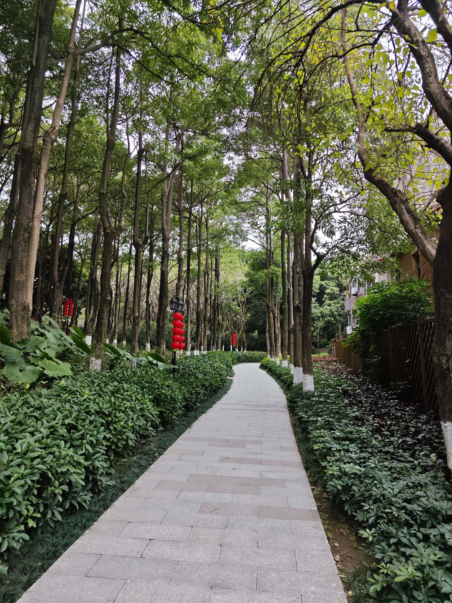 释雅山公园旅行图片 1