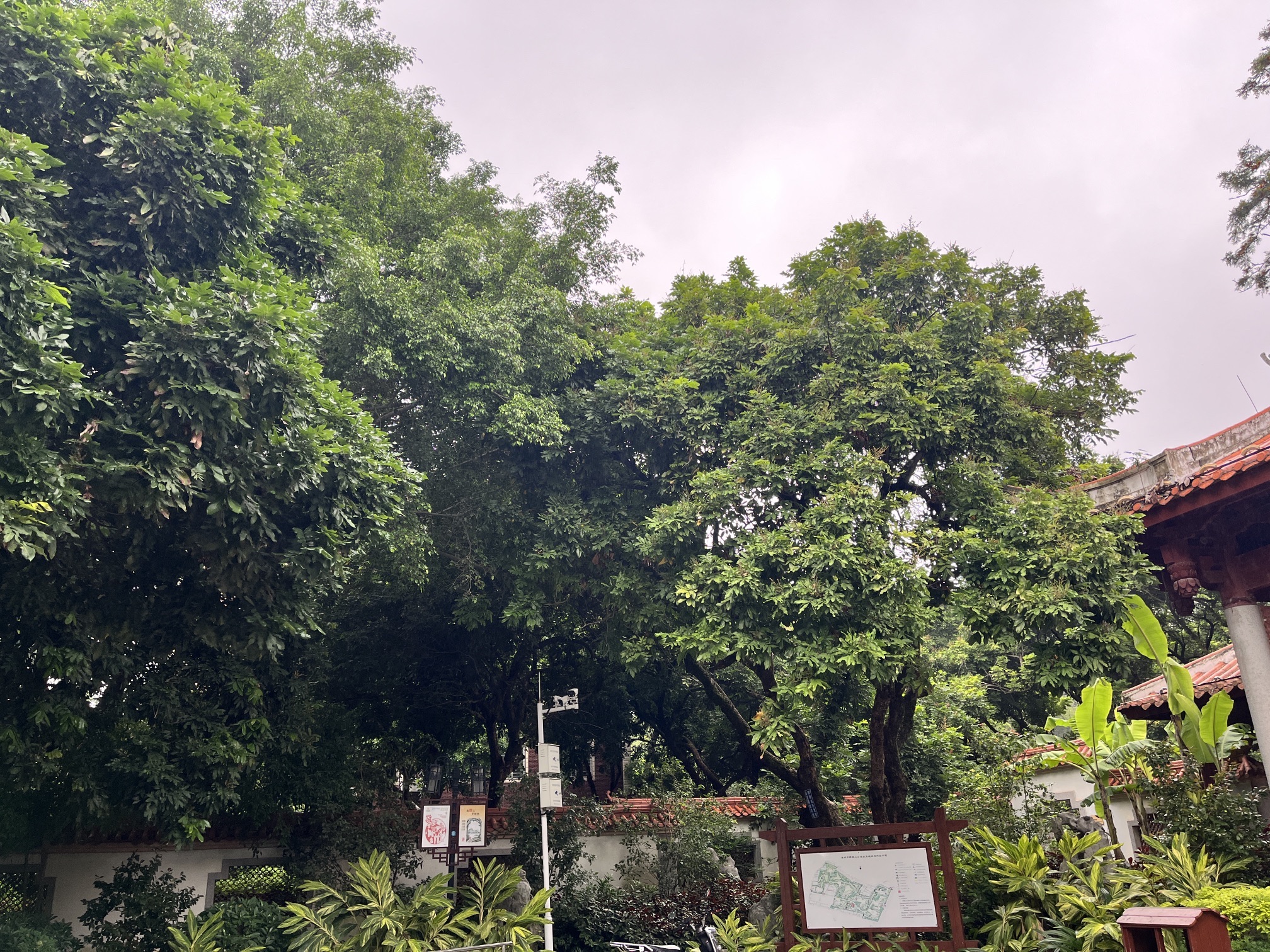 释雅山公园旅行图片 2