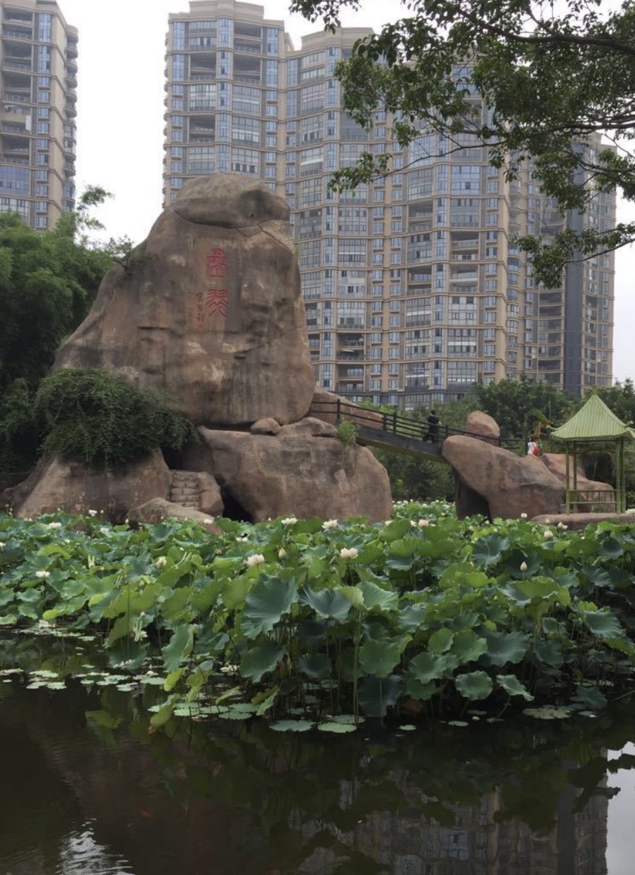 刺桐公园旅行图片 2