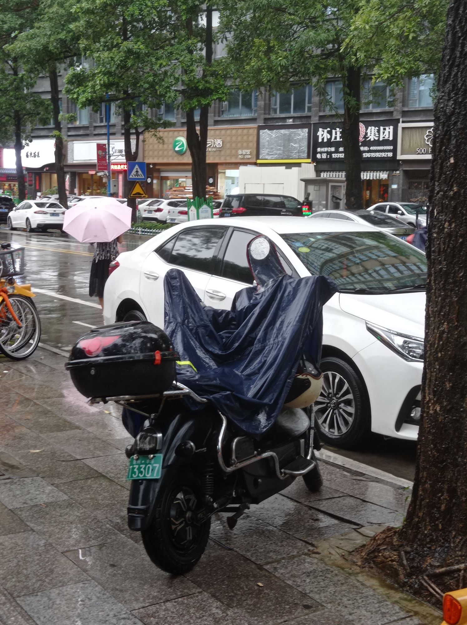 刺桐公园旅行图片 2