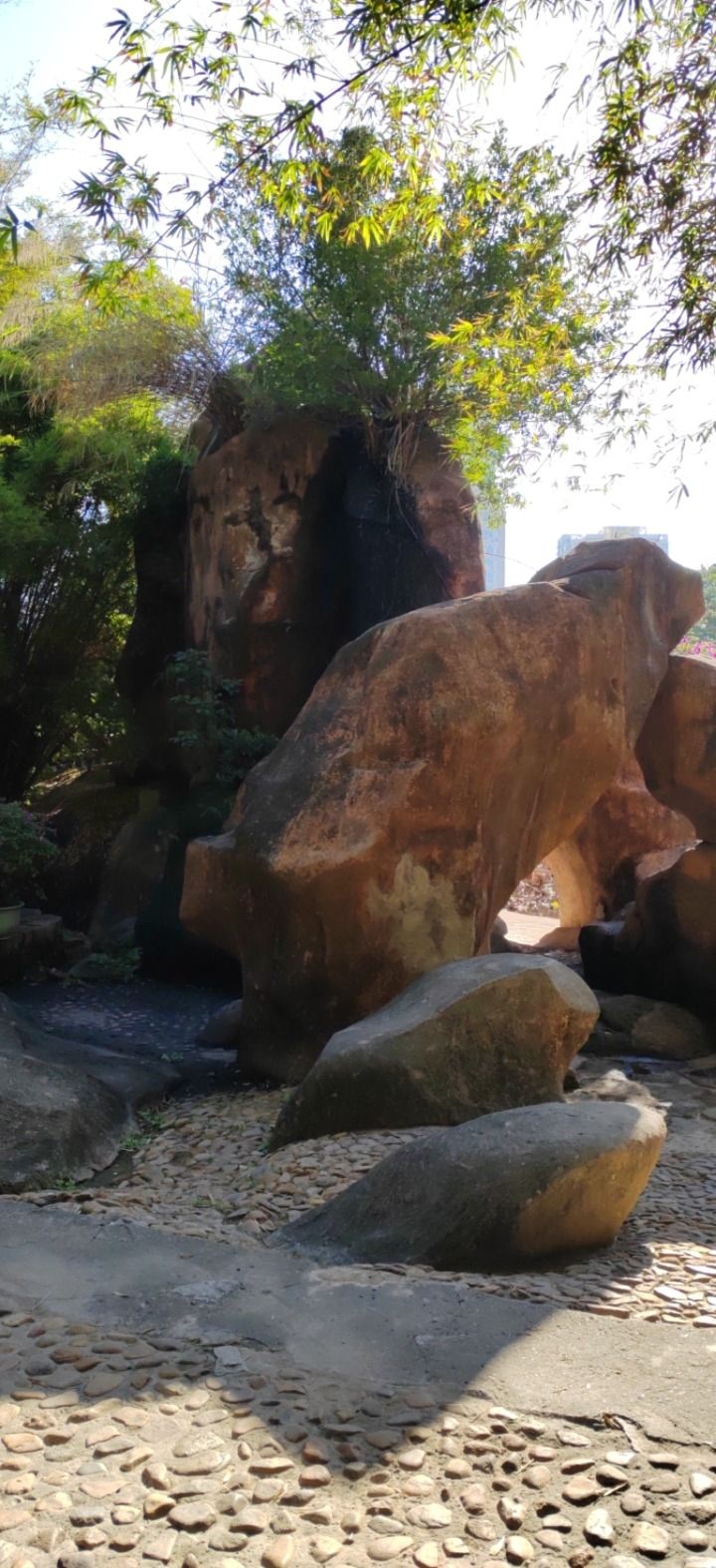 刺桐公园旅行图片 2