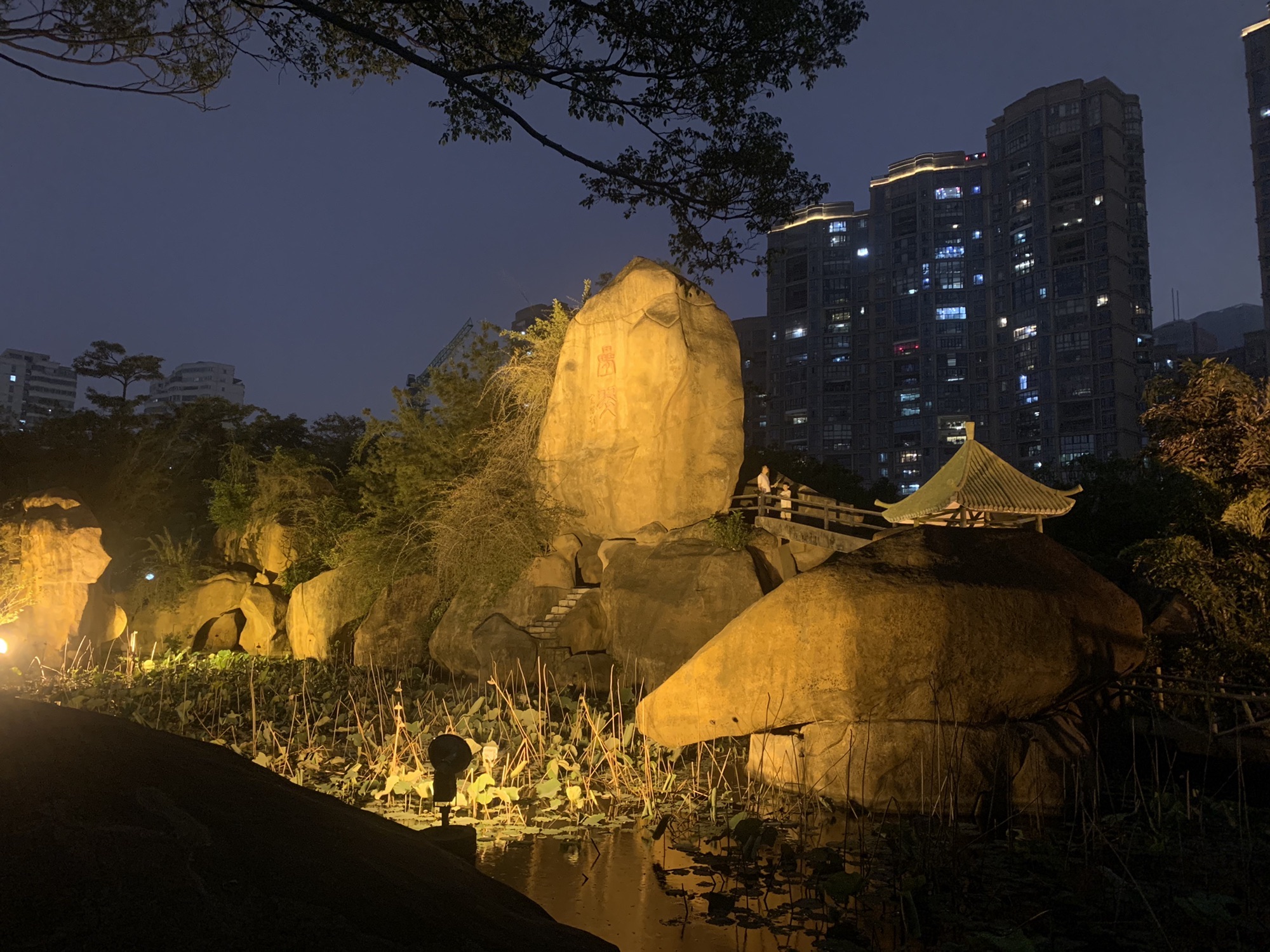 刺桐公园旅行图片 3