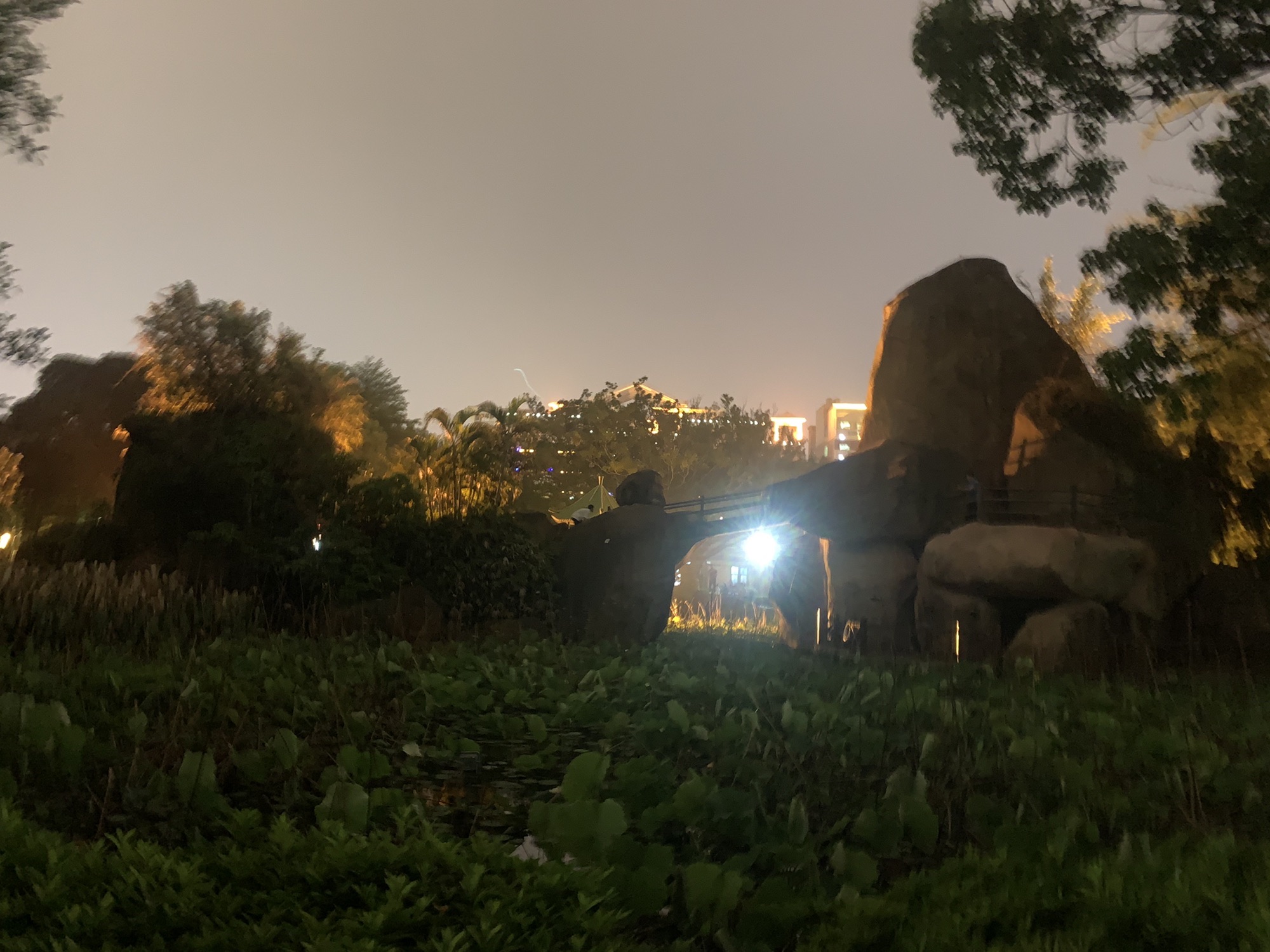 刺桐公园旅行图片 2