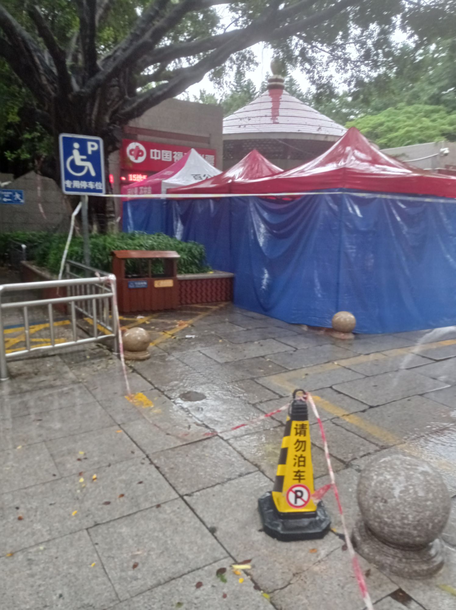 刺桐公园旅行图片 1