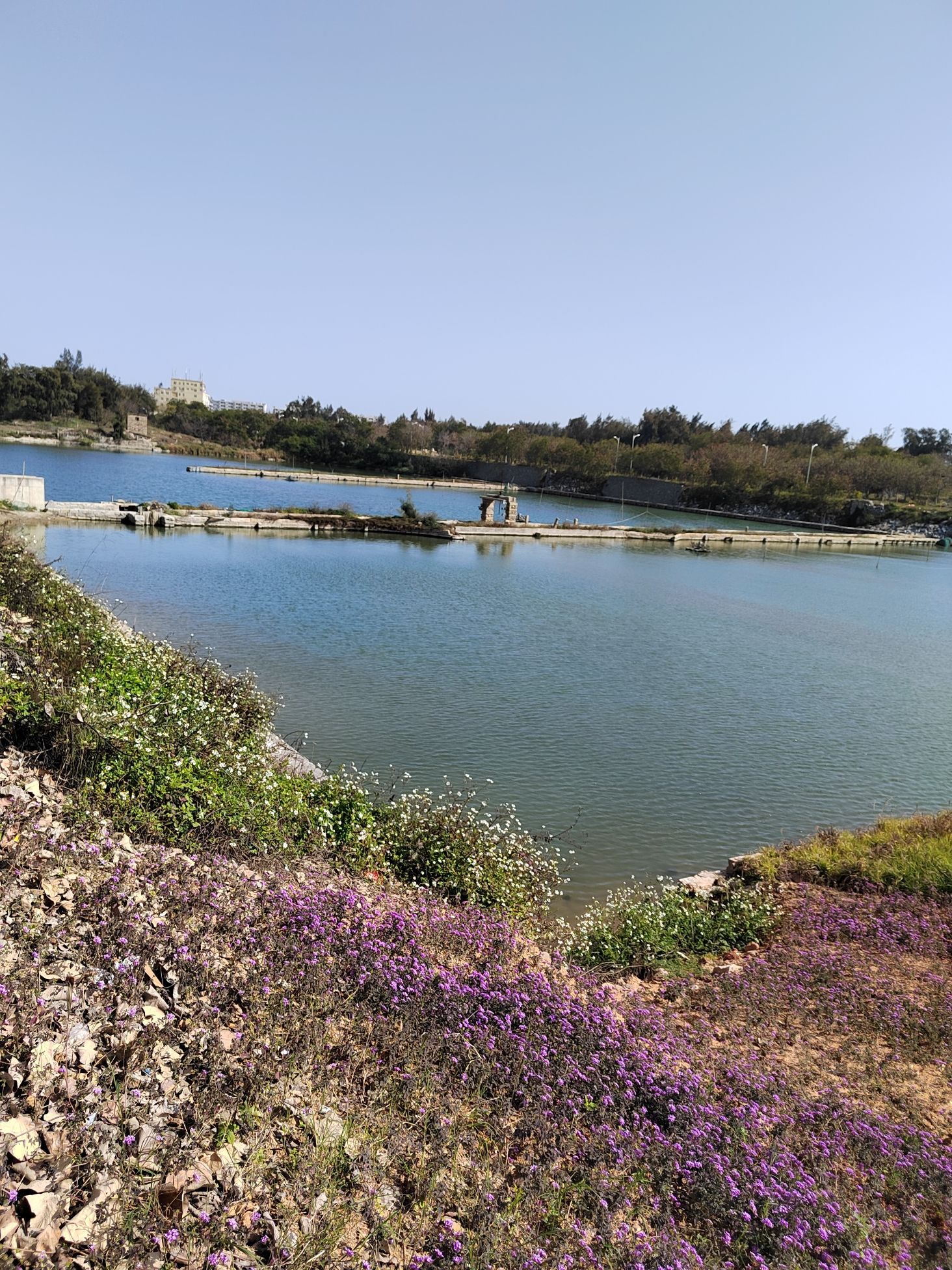 泉州湾河口湿地旅行图片 3