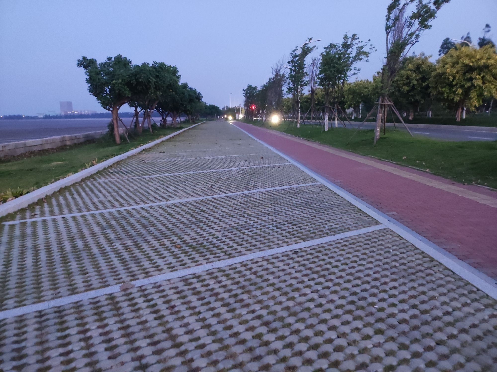 泉州湾河口湿地旅行图片 2