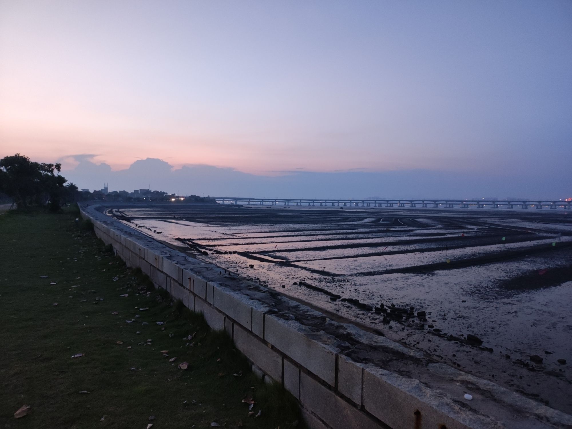 泉州湾河口湿地旅行图片 1