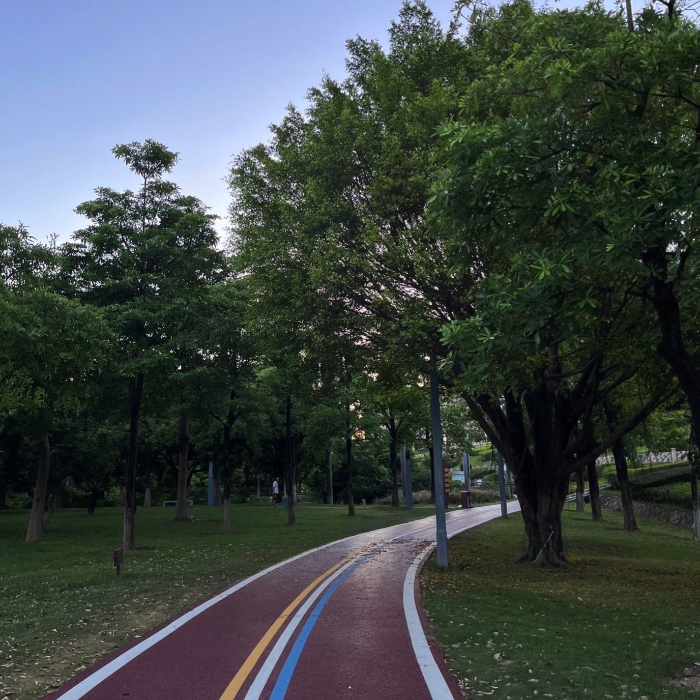 武荣公园旅行图片 1