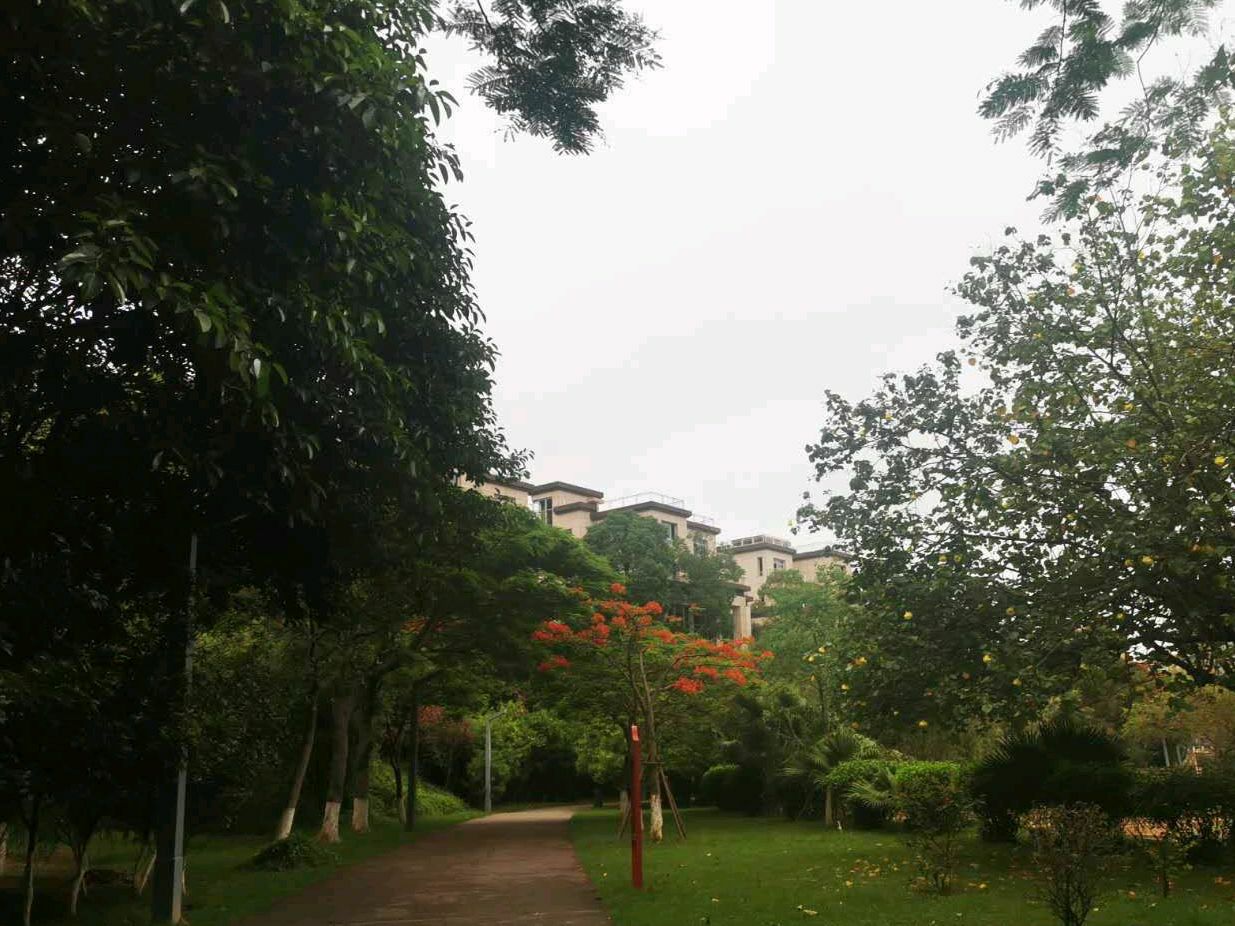 武荣公园旅行图片 3