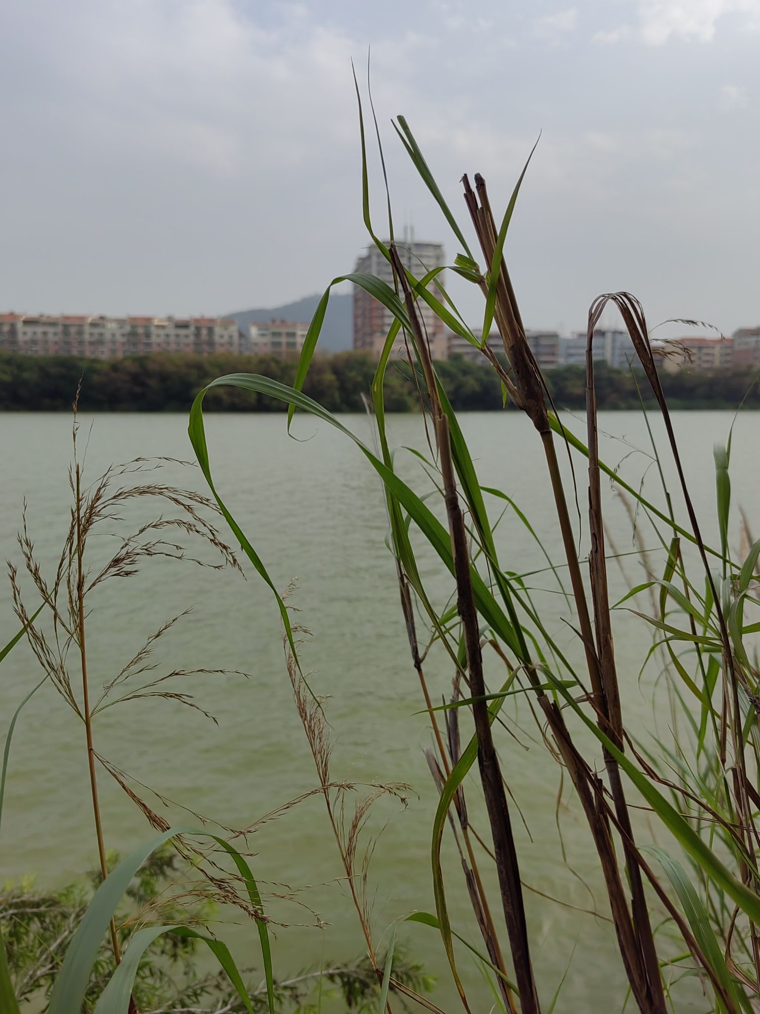 武荣公园旅行图片 3