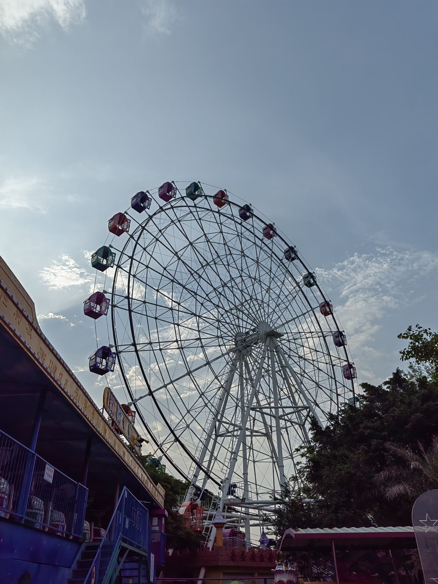 武荣公园旅行图片 2