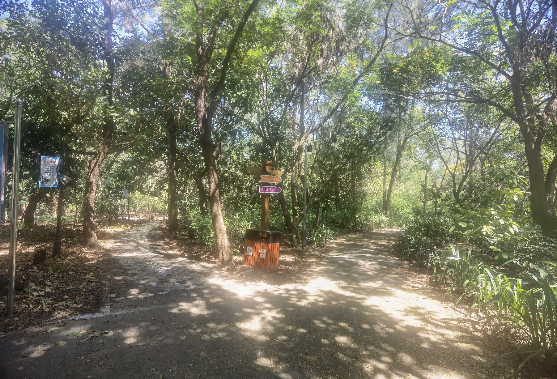 晋江深沪湾森林公园旅行图片 2
