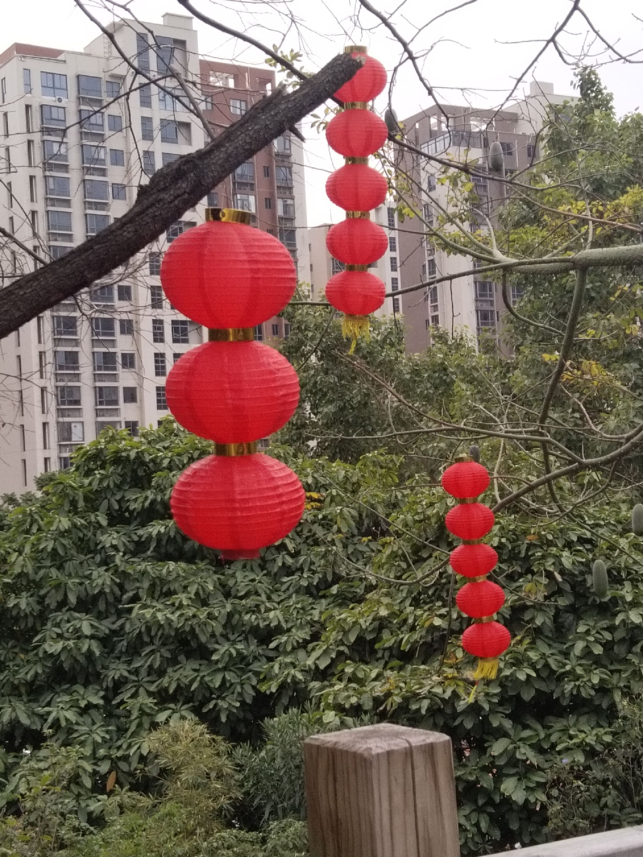 晋江深沪湾森林公园旅行图片 3