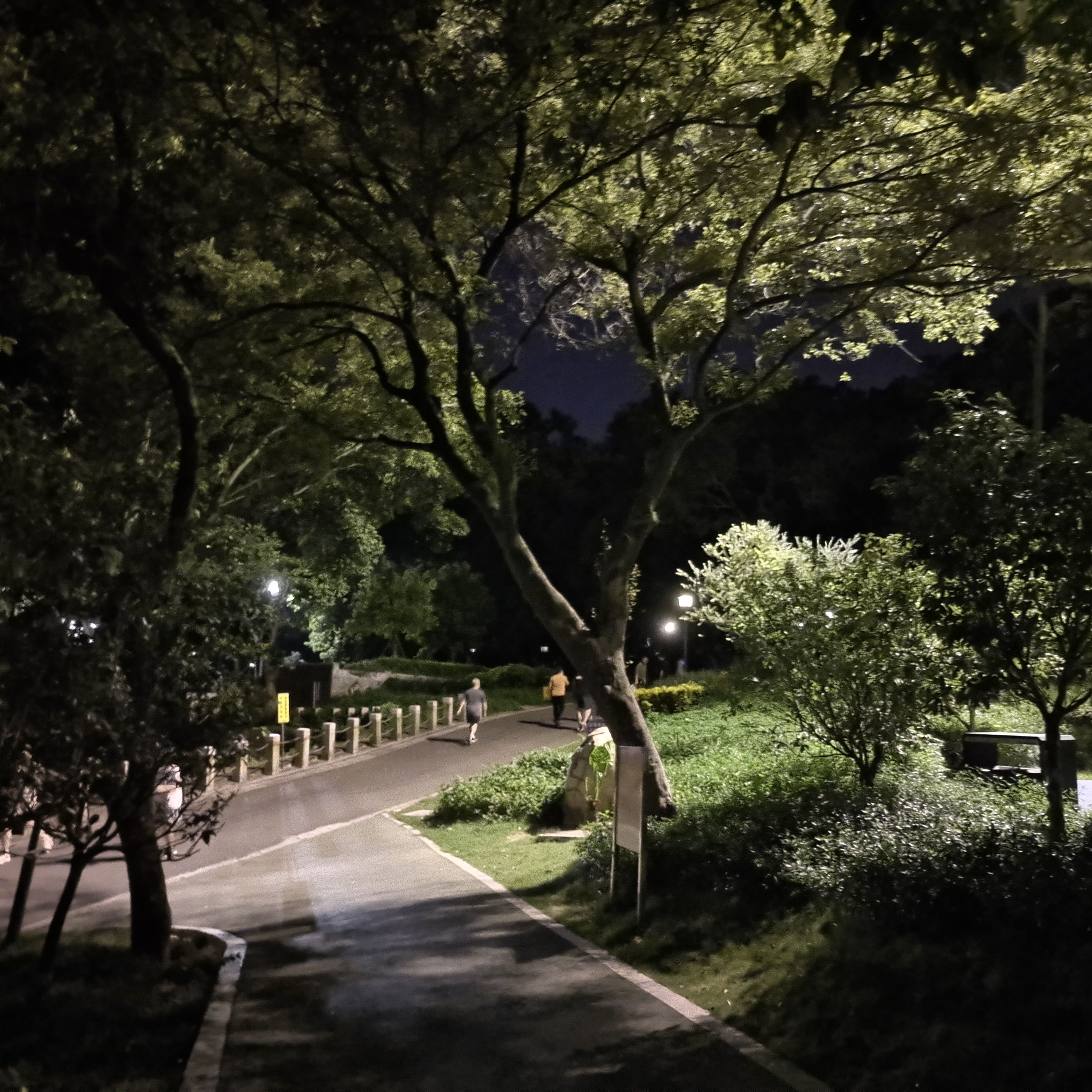 敏月公园旅行图片 3
