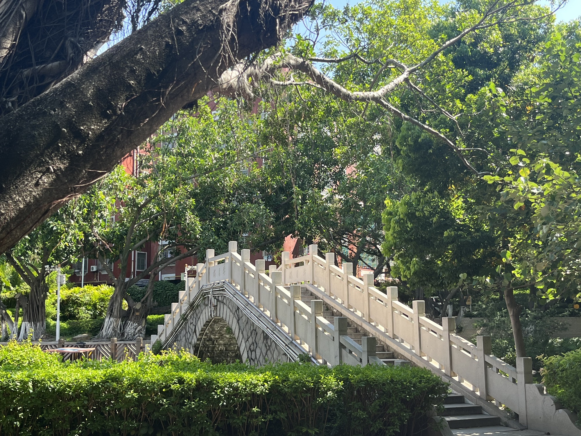 敏月公园旅行图片 3