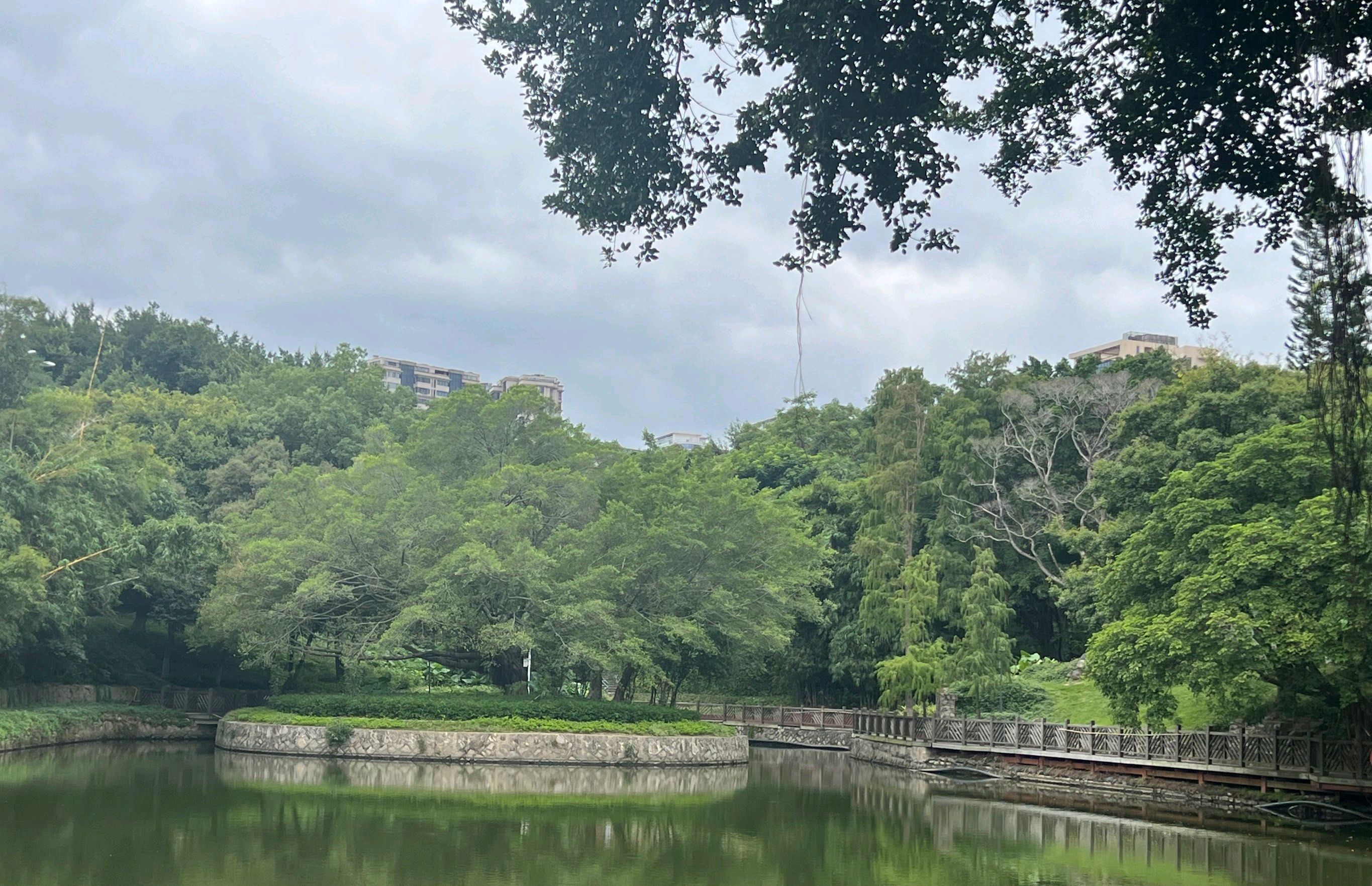 敏月公园旅行图片 3
