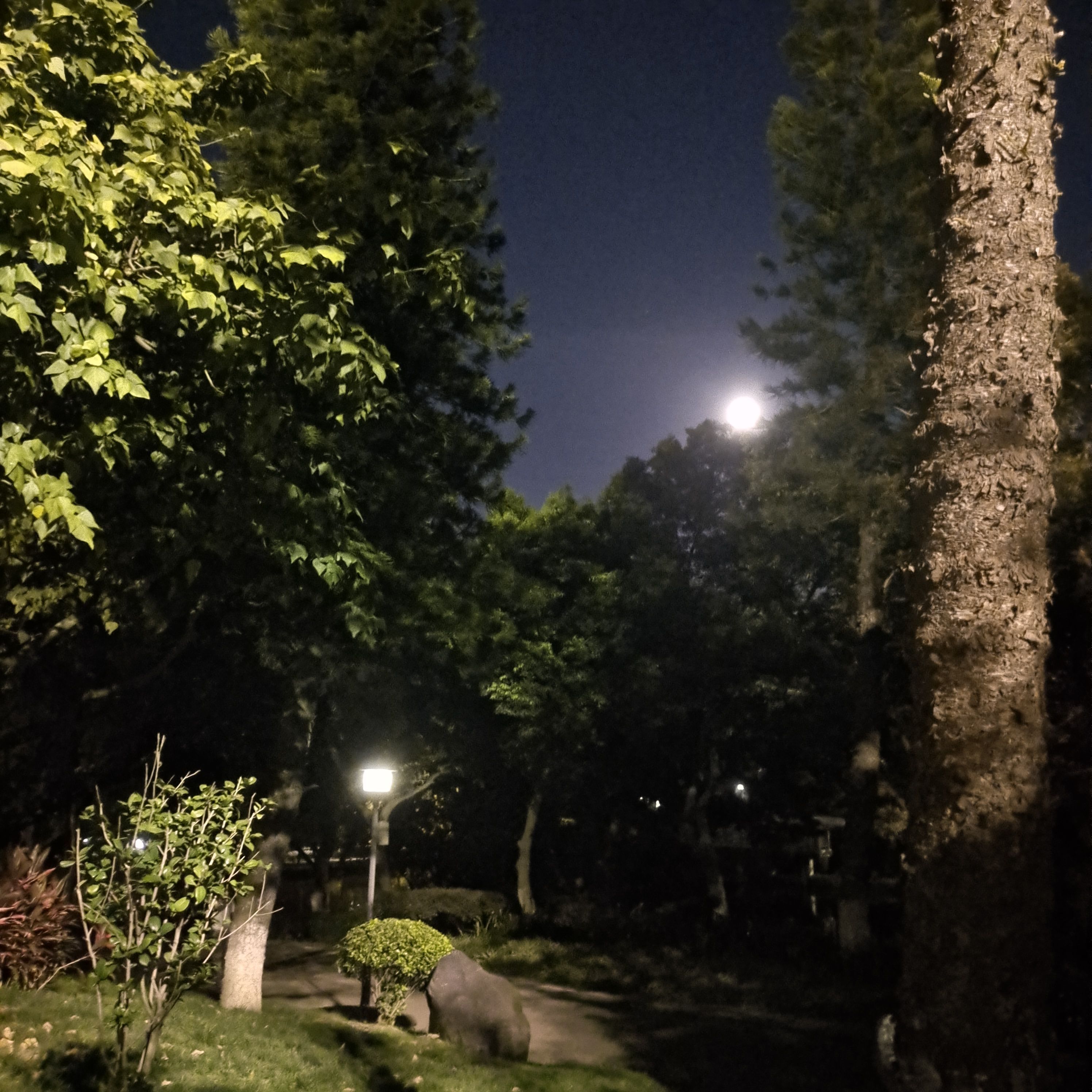 敏月公园旅行图片 1