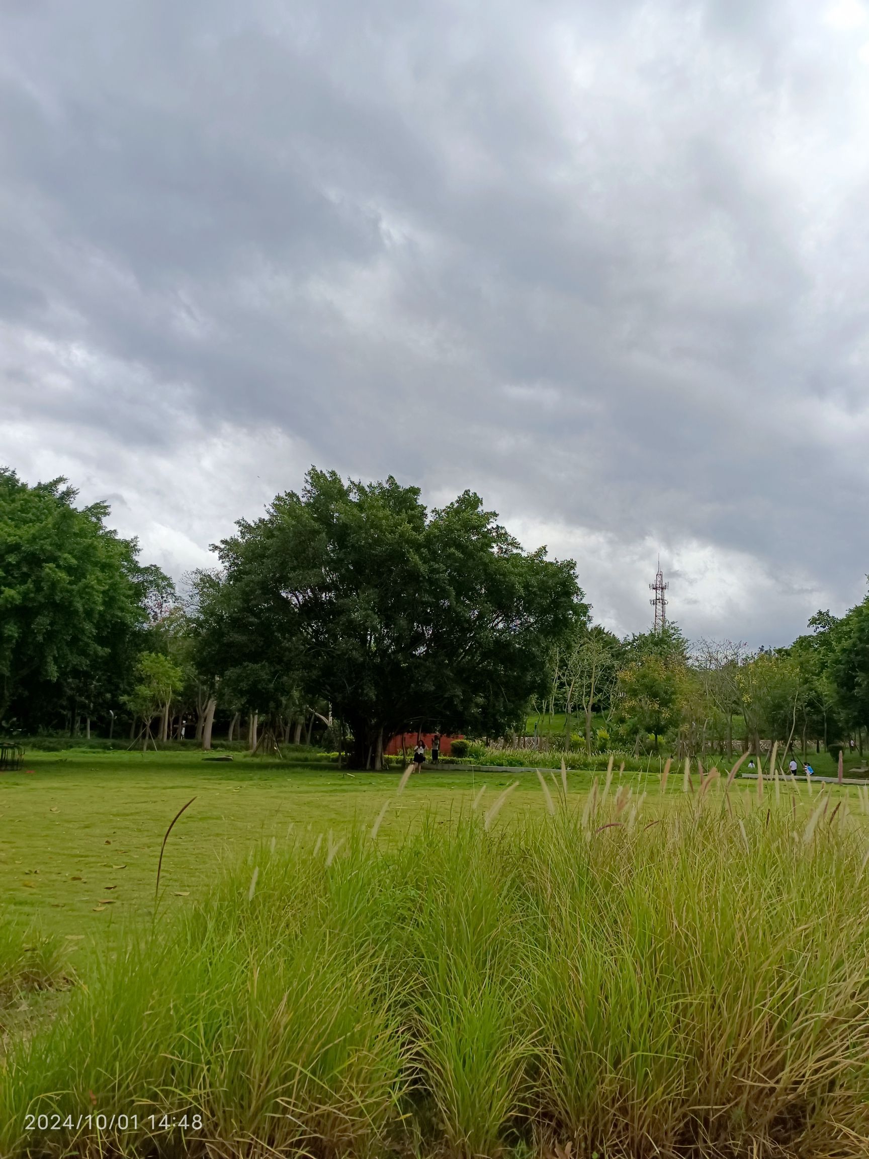 五峰公园旅行图片 1
