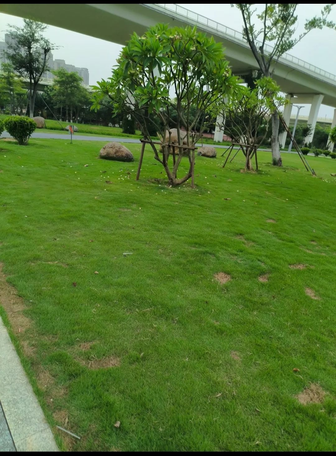 溜石塔公园旅行图片 1