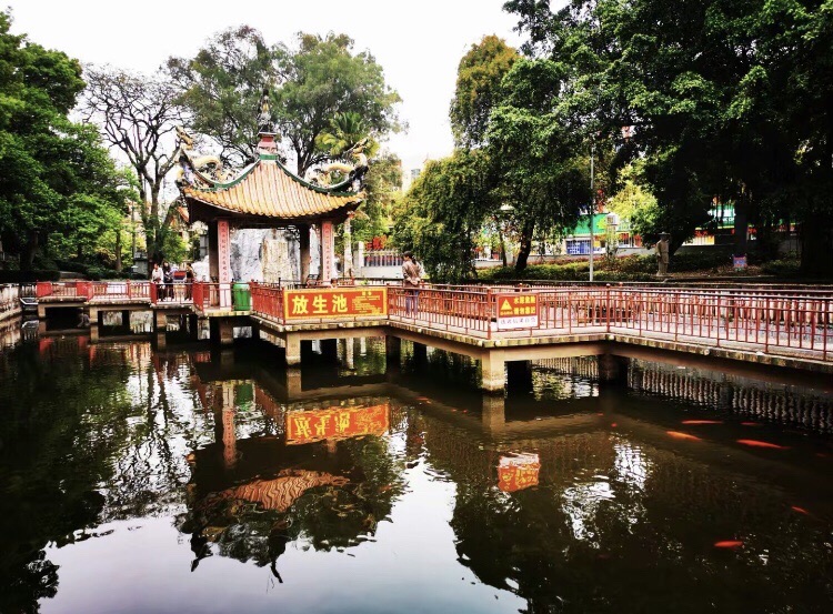 诗山公园旅行图片 1