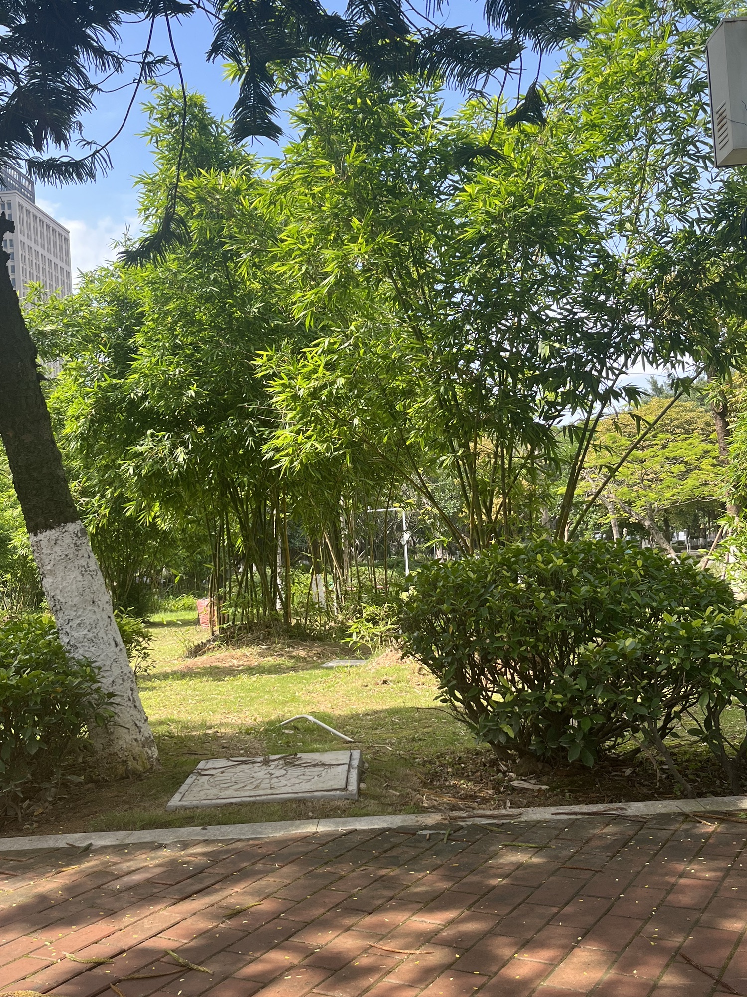 鸳鸯池公园旅行图片 1