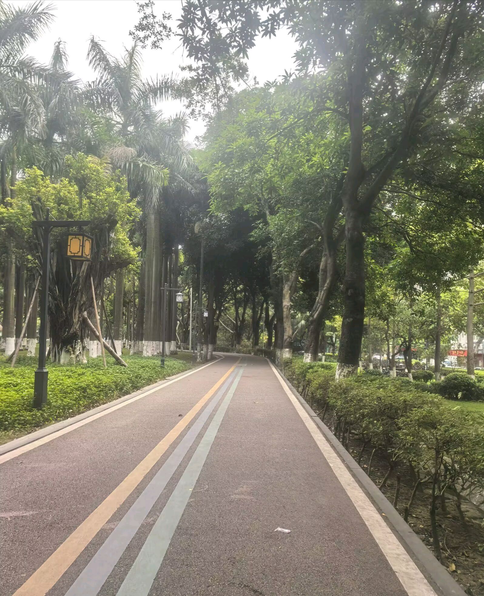 鸳鸯池公园旅行图片 2